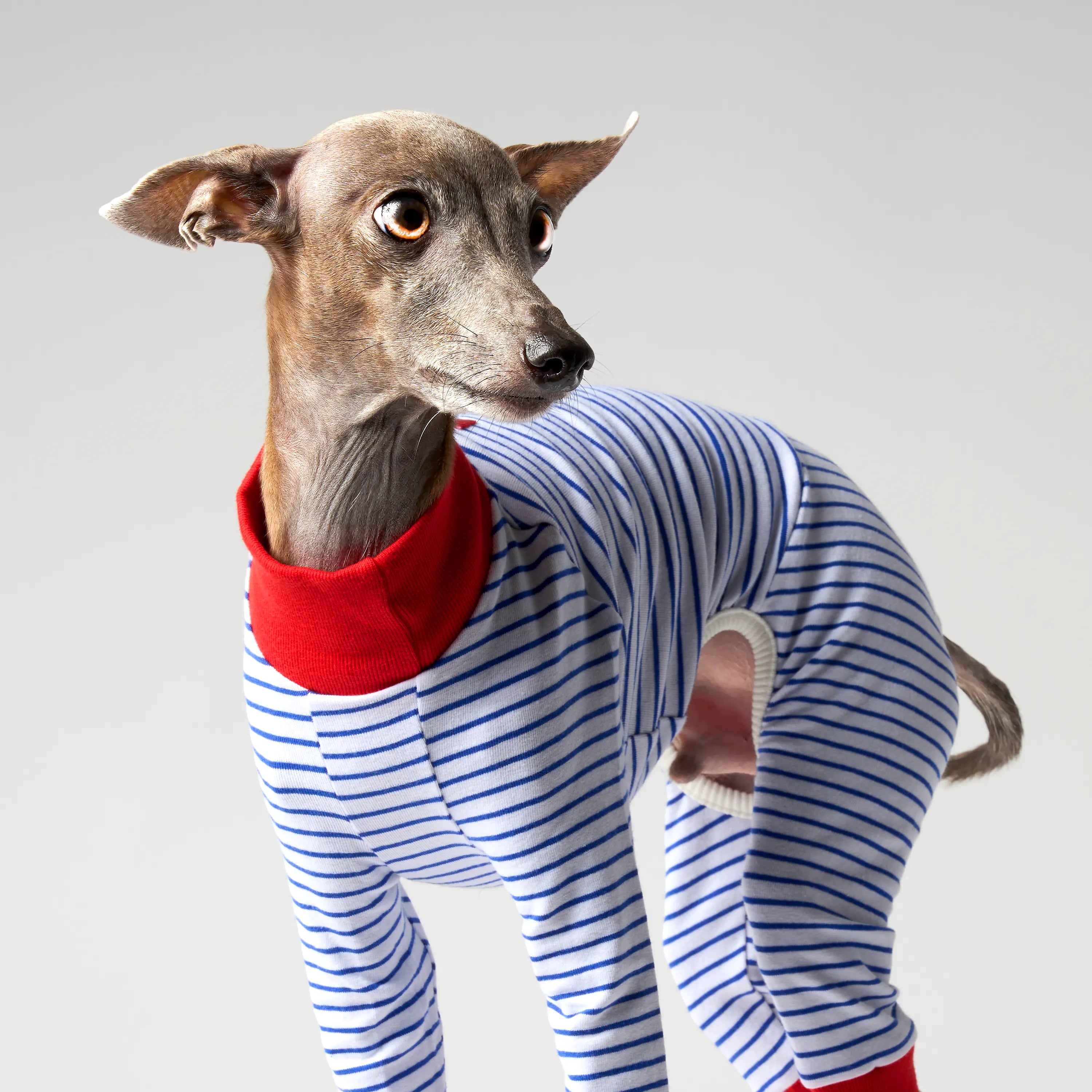 BALLET - SLIM STRIPES