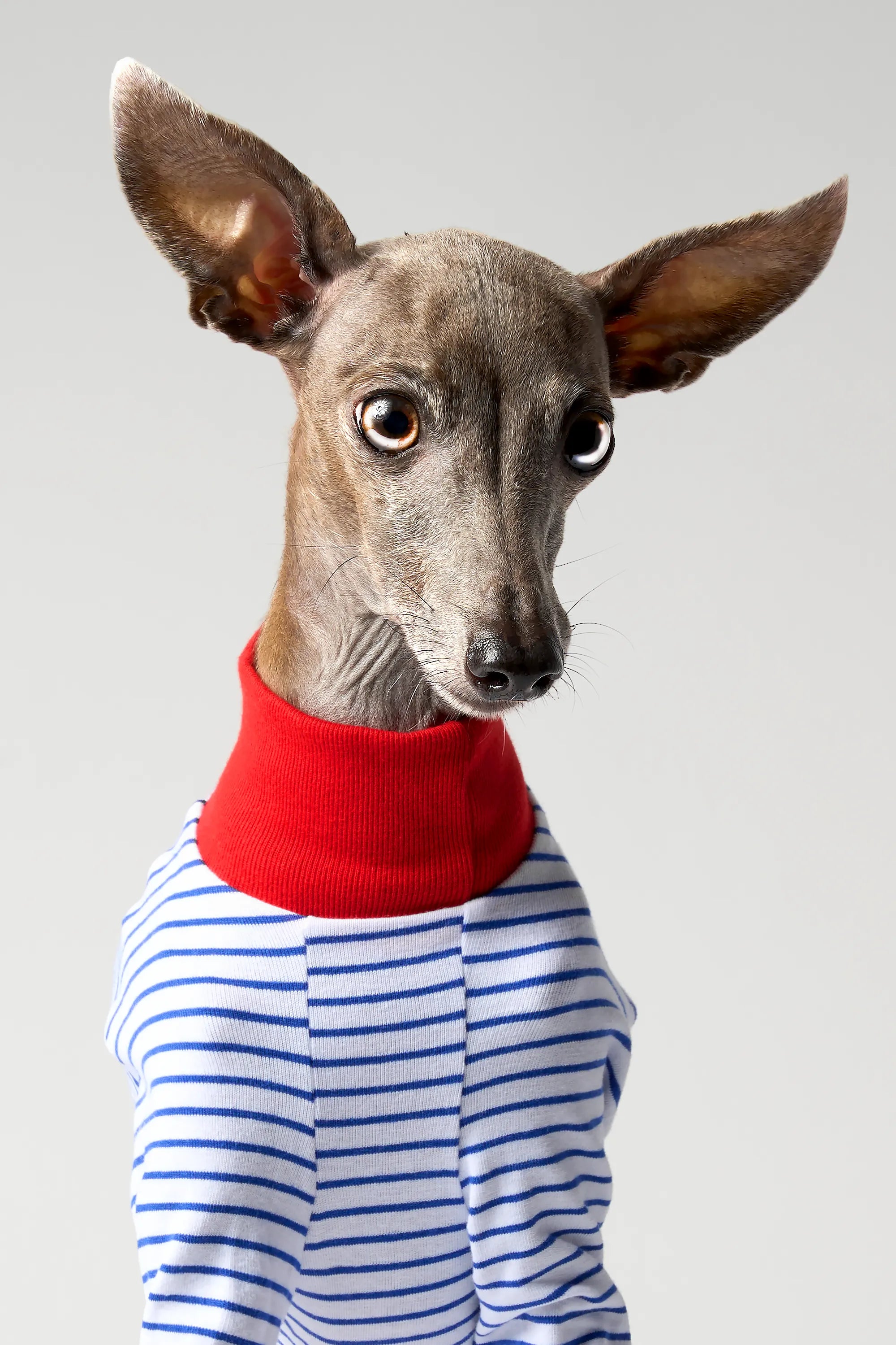 BALLET - SLIM STRIPES