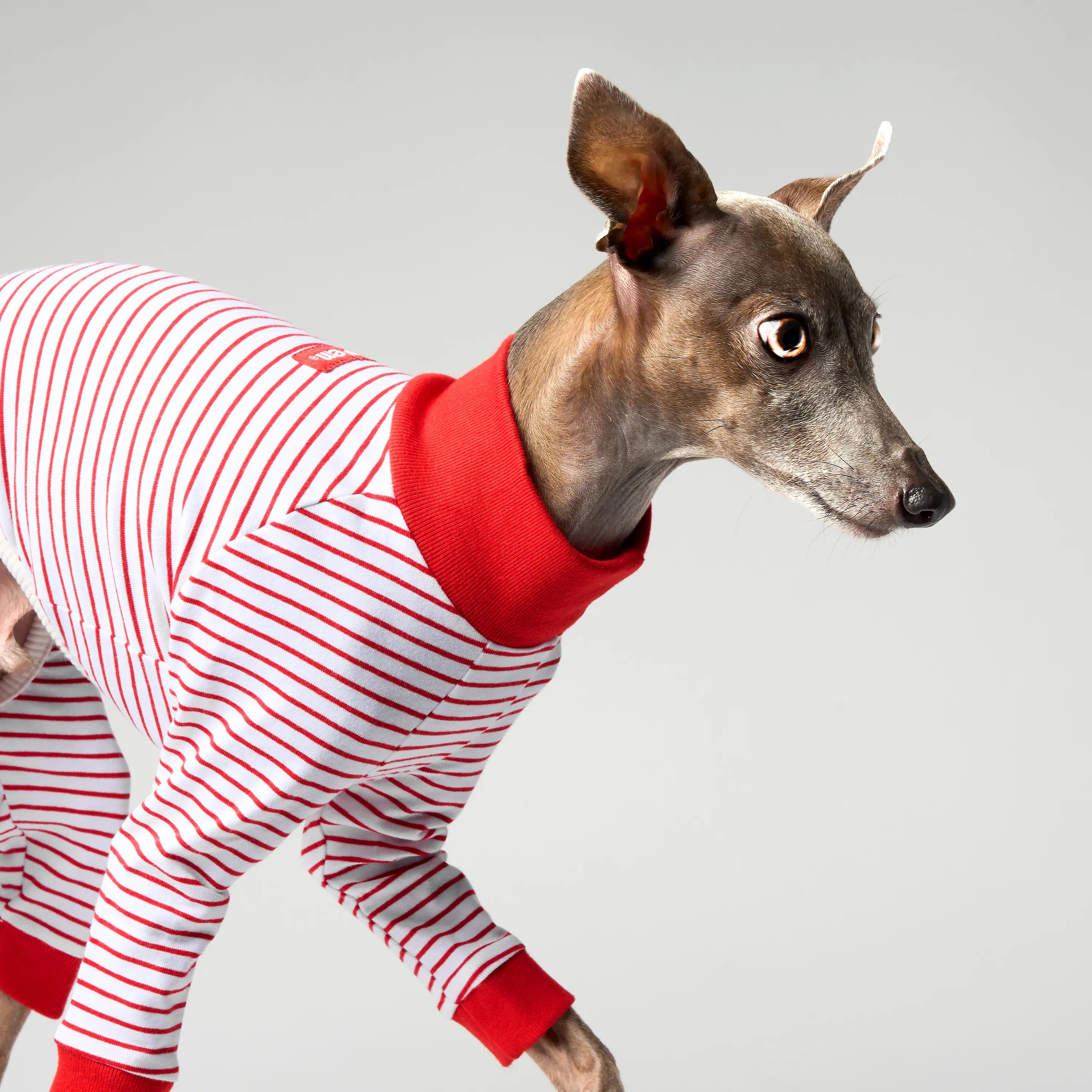 BALLET - SLIM STRIPES