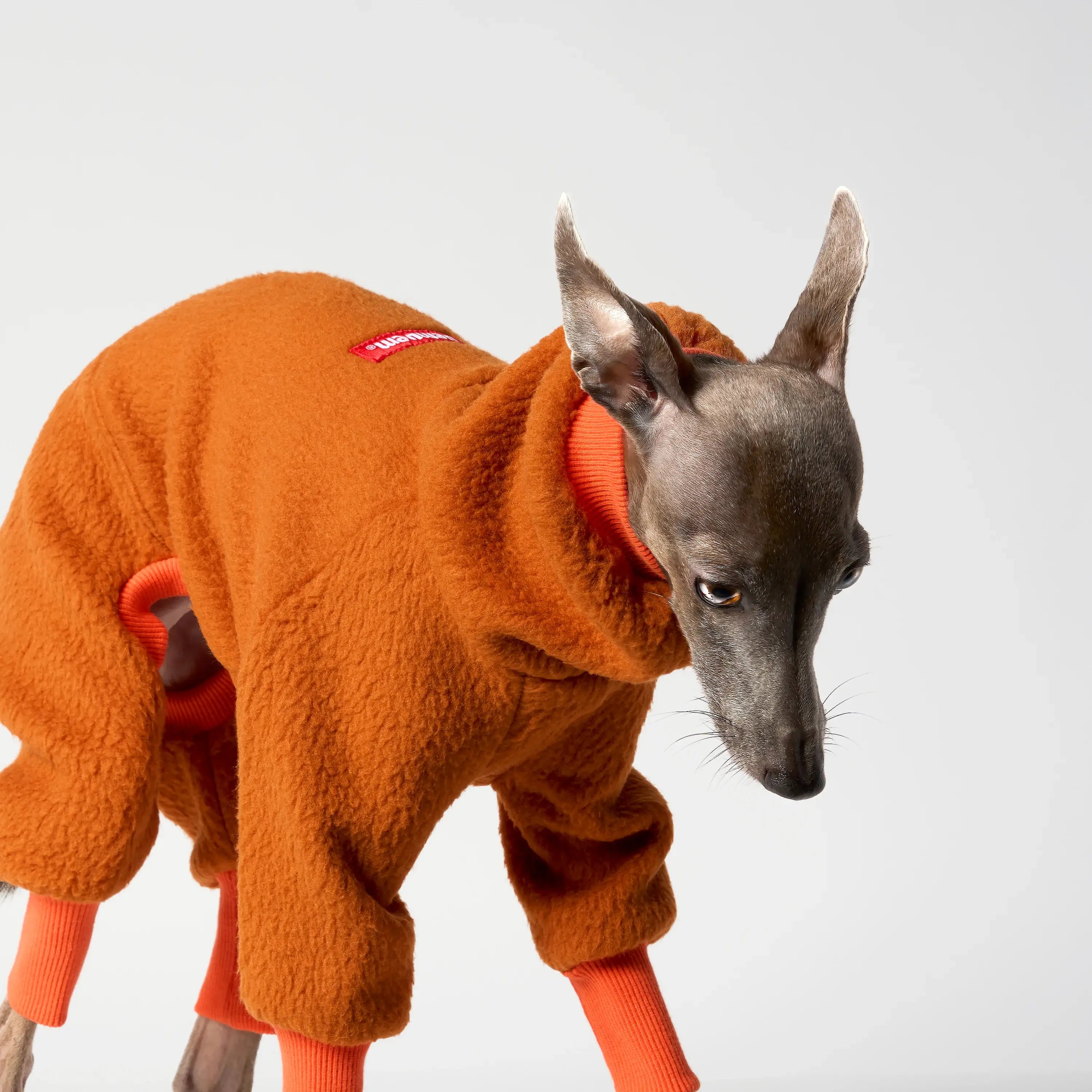FLEECE - SHEAR CLASSIC