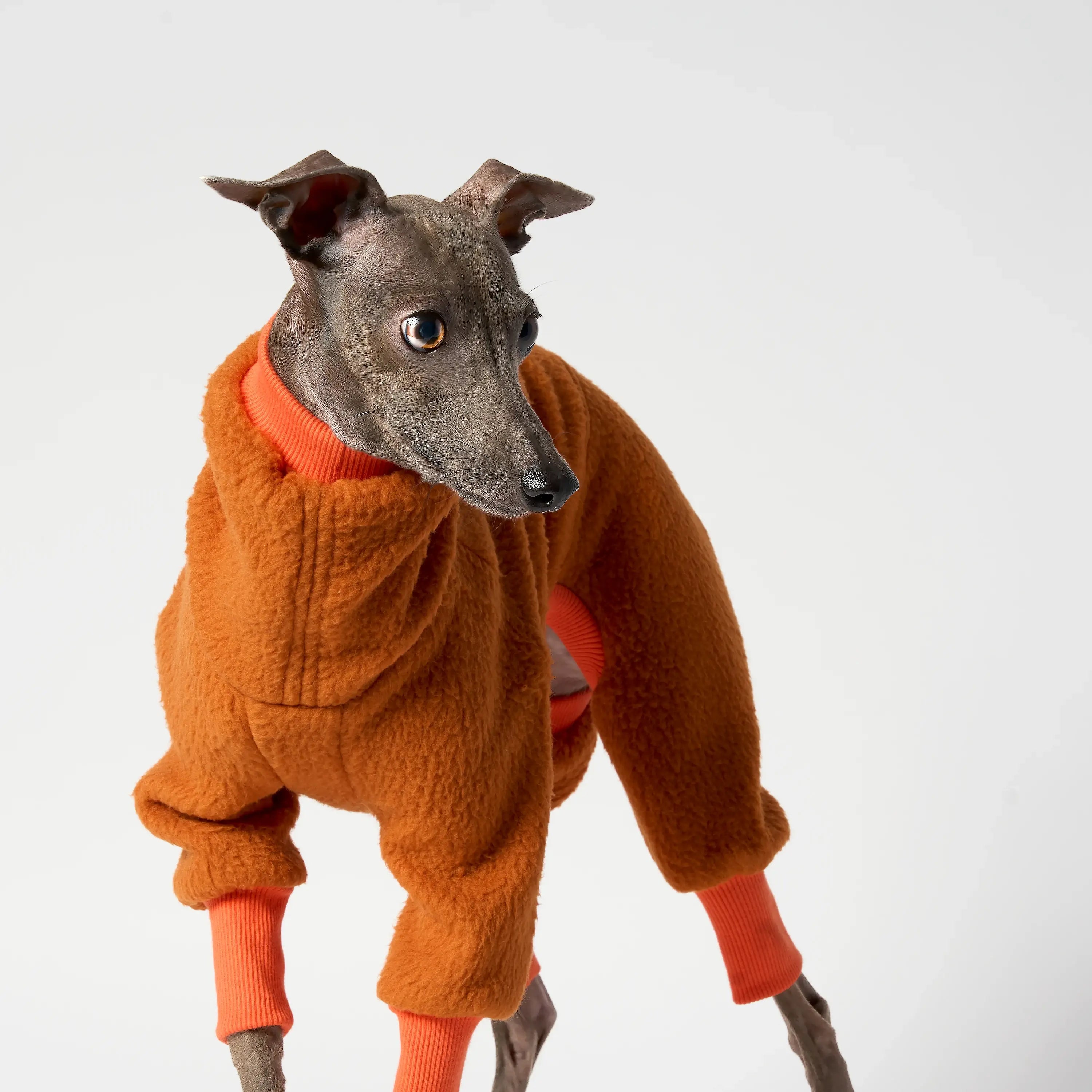 FLEECE - SHEAR CLASSIC