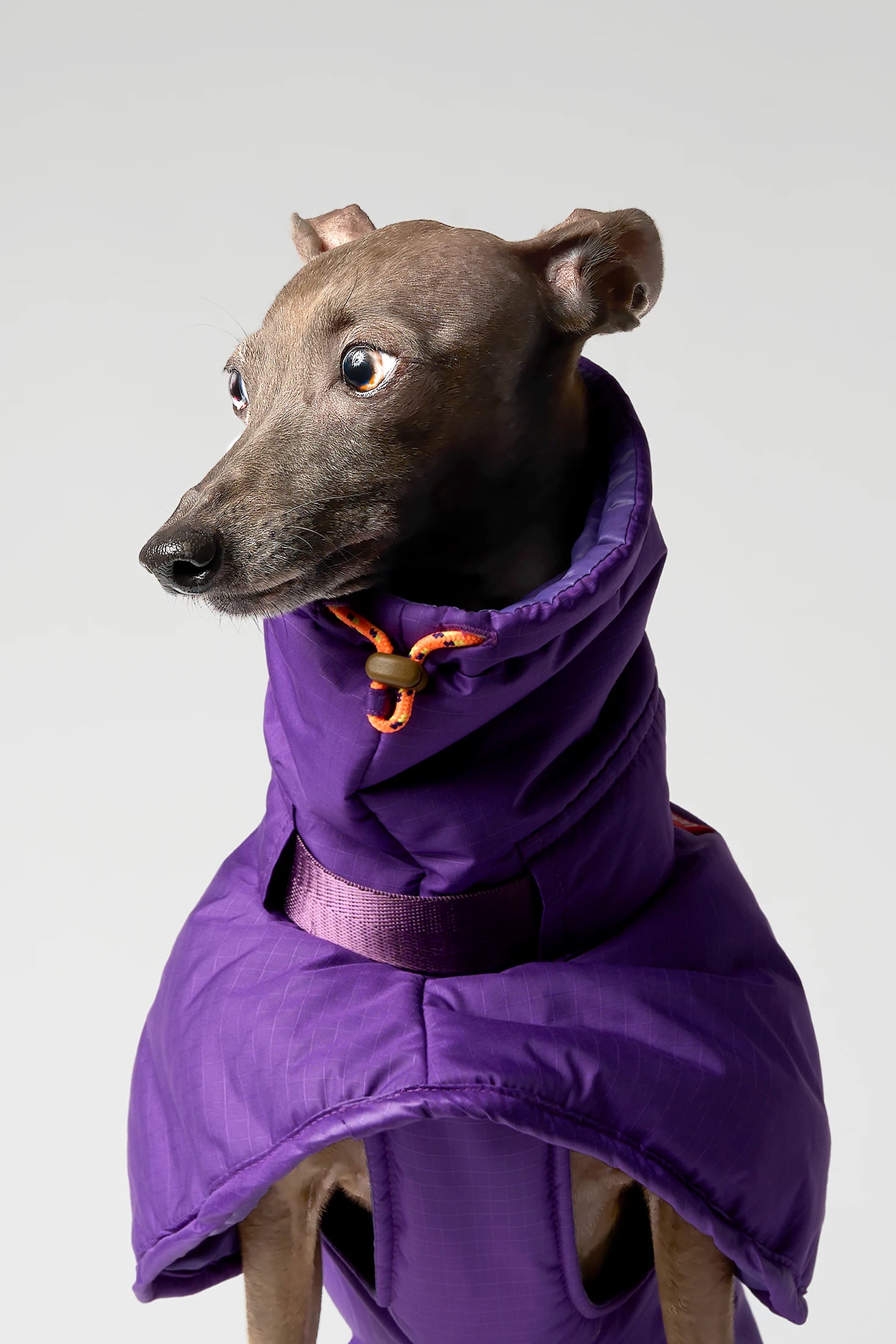 GRAVITY - SUPER COVER EXTREME – vemvem®