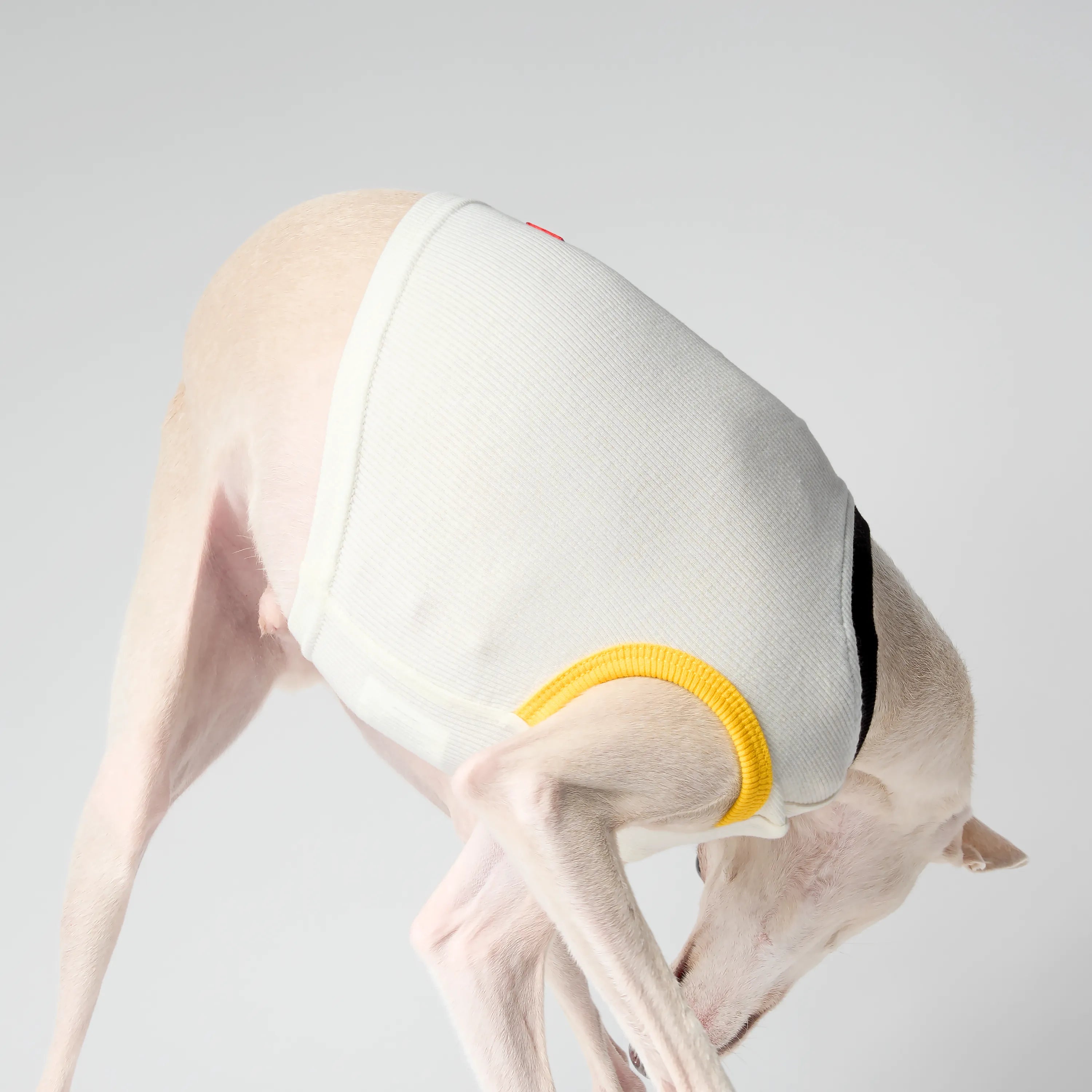 LAYER – AIRY CUT