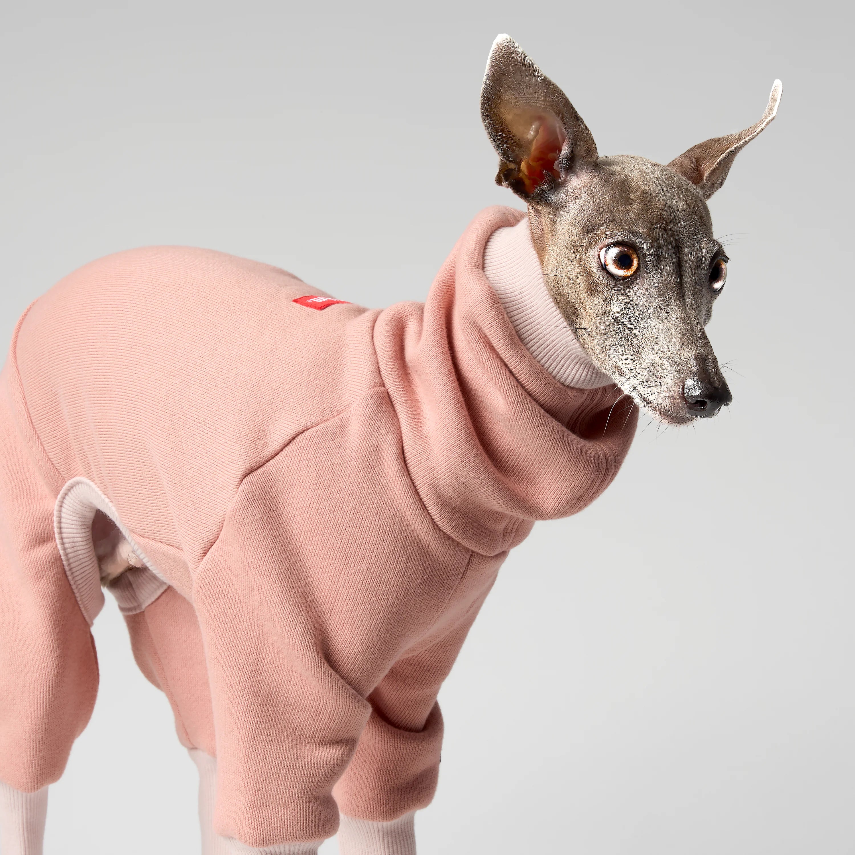 VOLUME – FORMA (RESERVE)