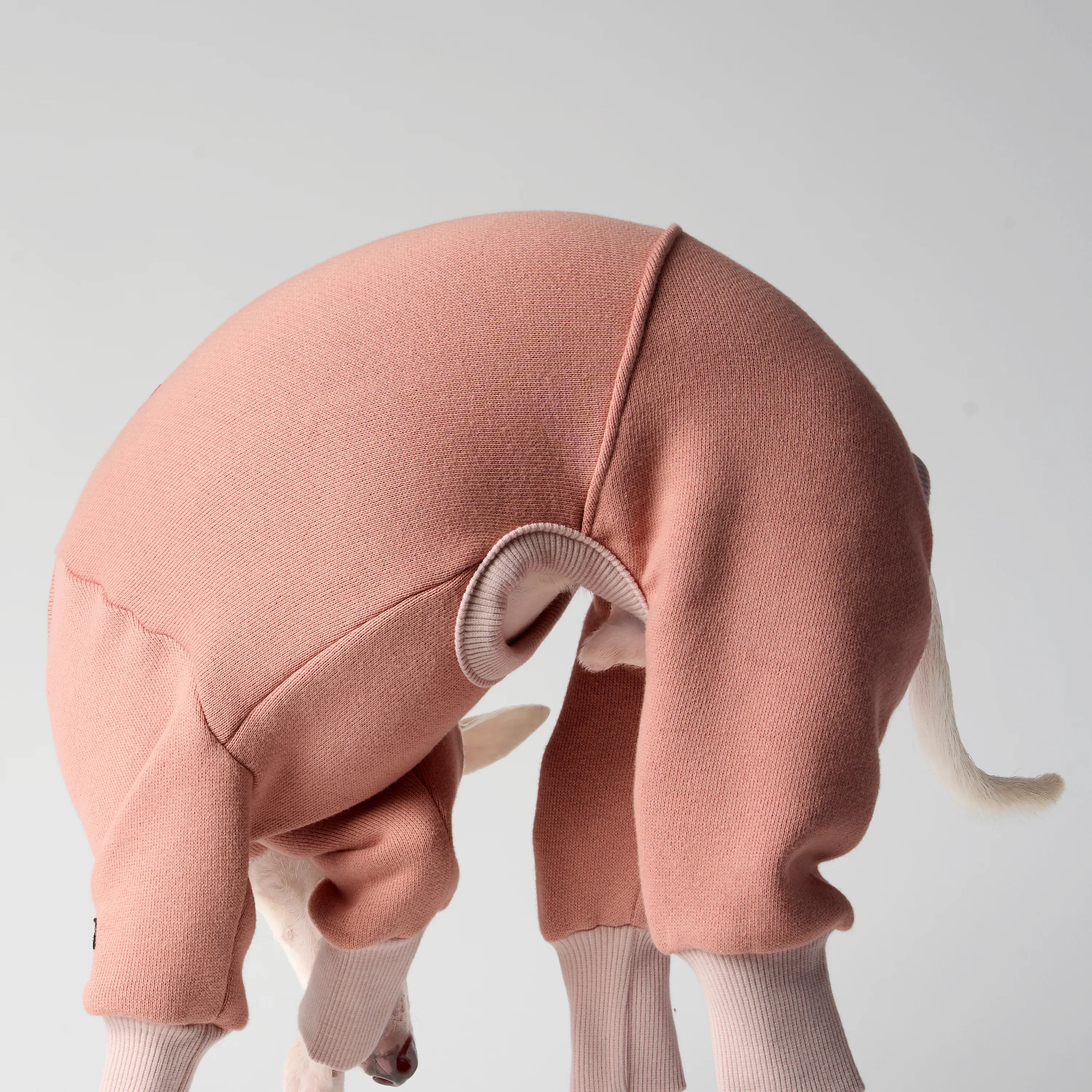 VOLUME – FORMA (RESERVE)