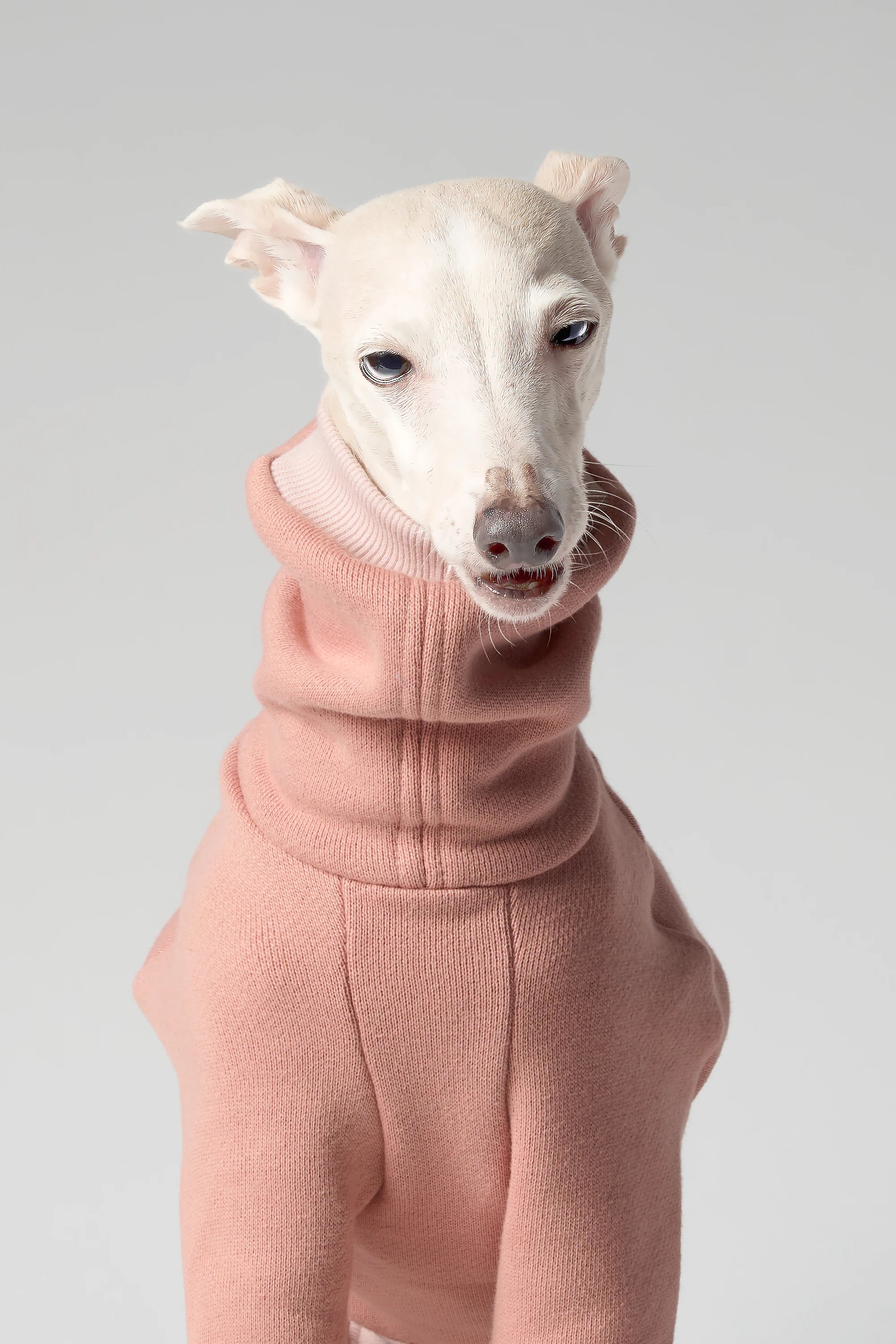 VOLUME – FORMA (RESERVE)