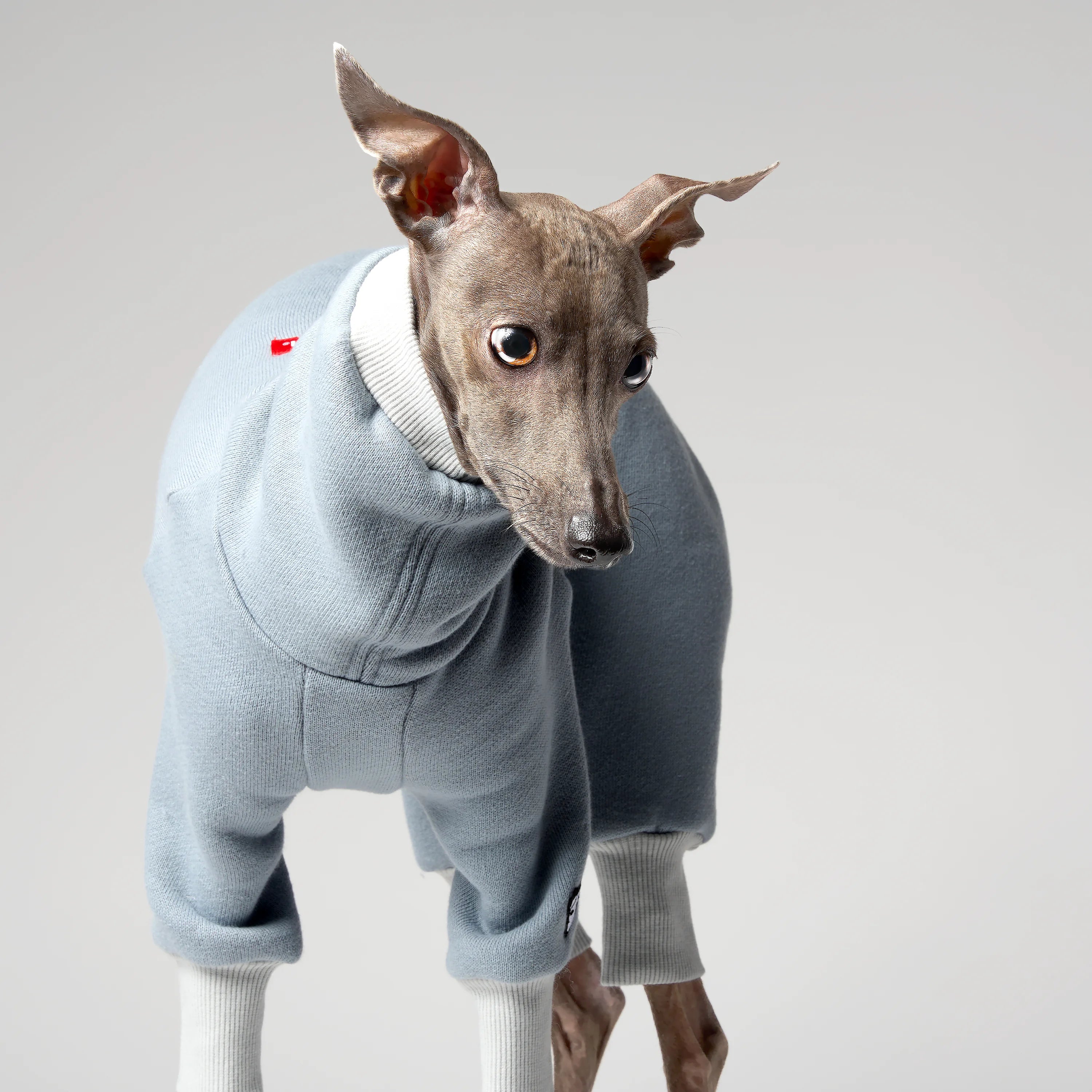 VOLUME – FORMA (RESERVE)