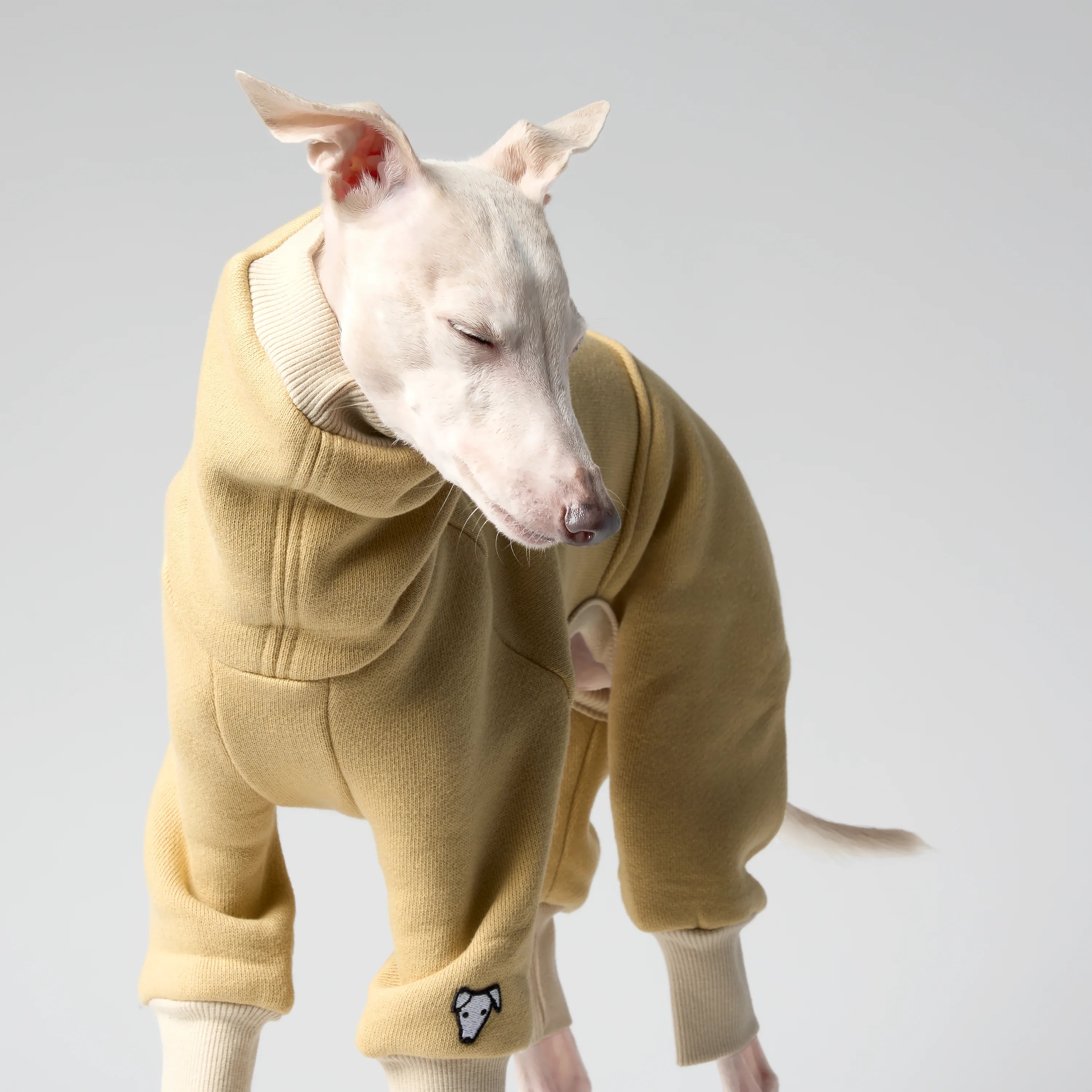 VOLUME – FORMA (RESERVE)