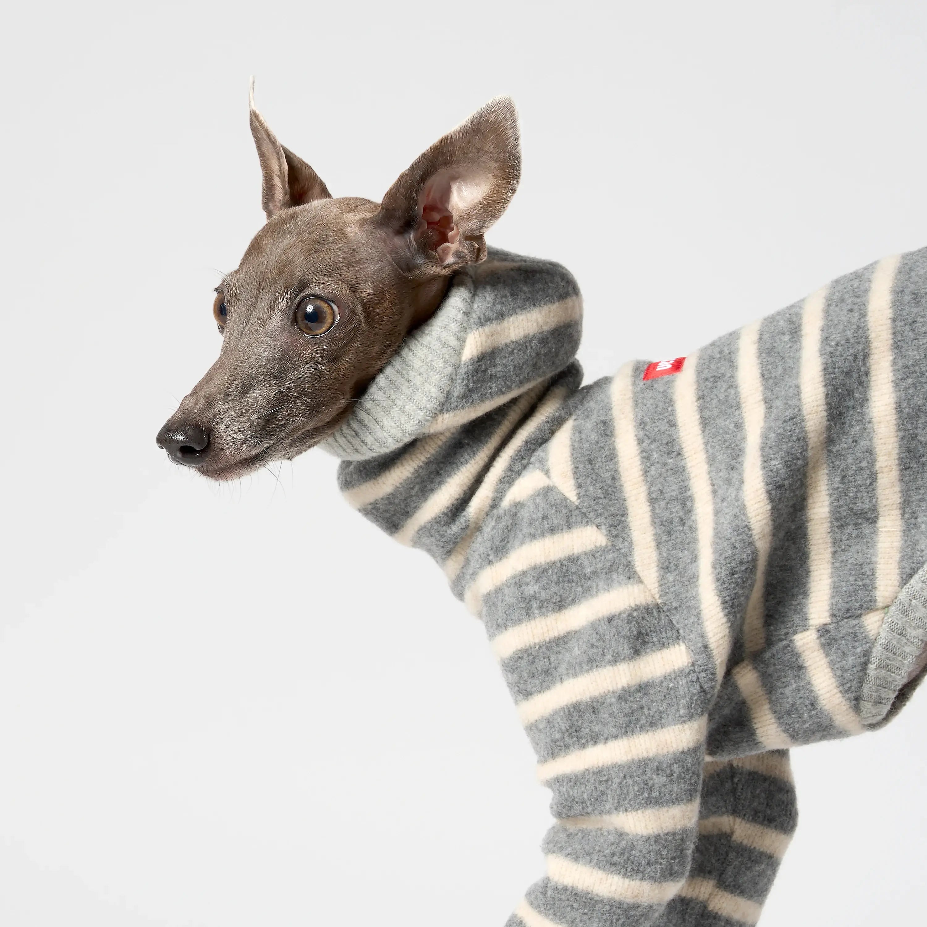 WOOLY - BALACLSUIT