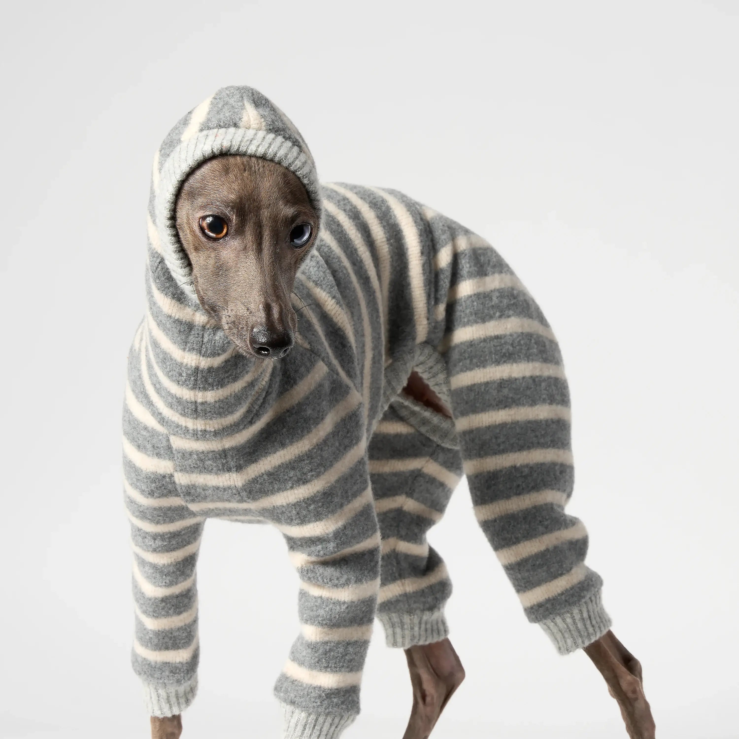 WOOLY - BALACLSUIT