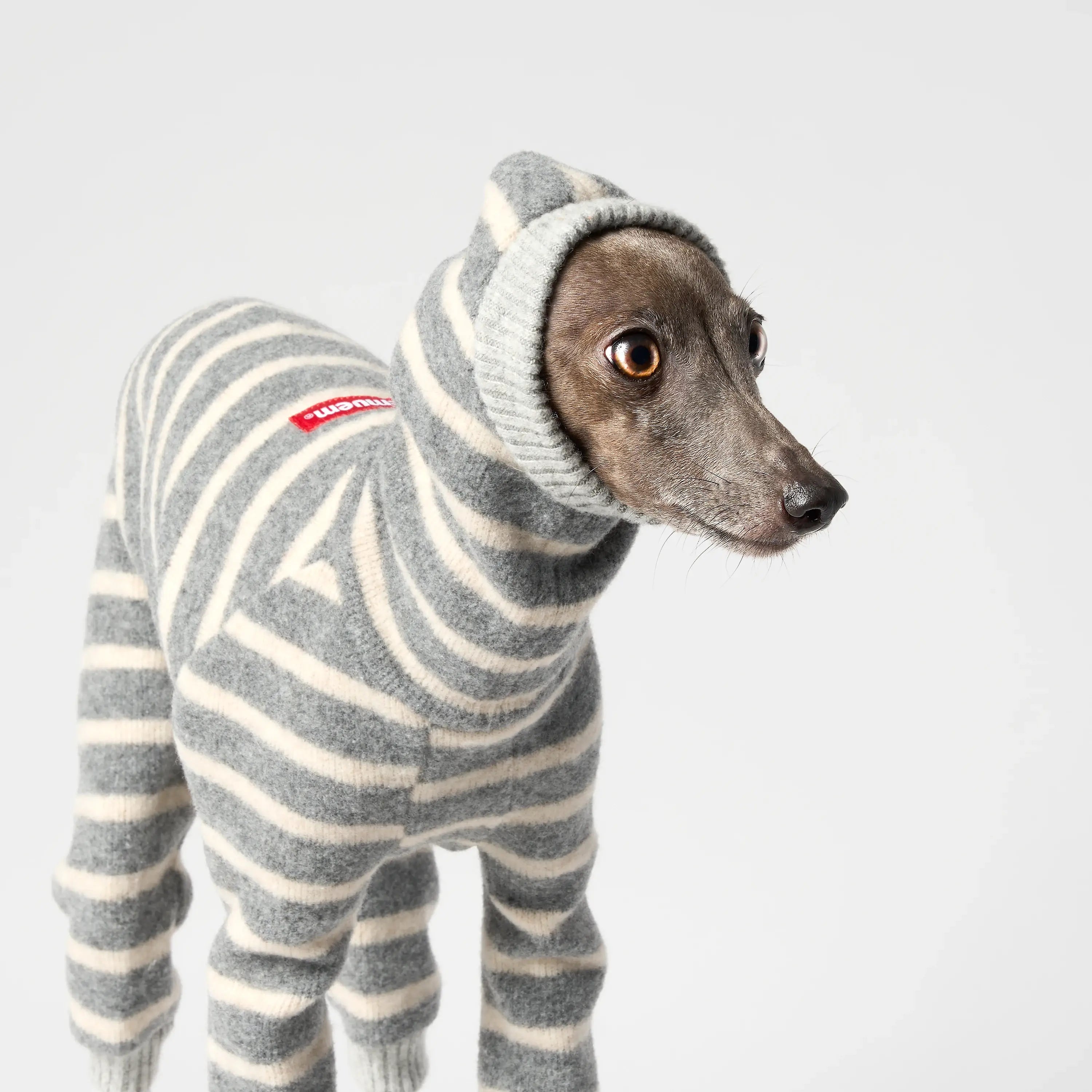 WOOLY - BALACLSUIT
