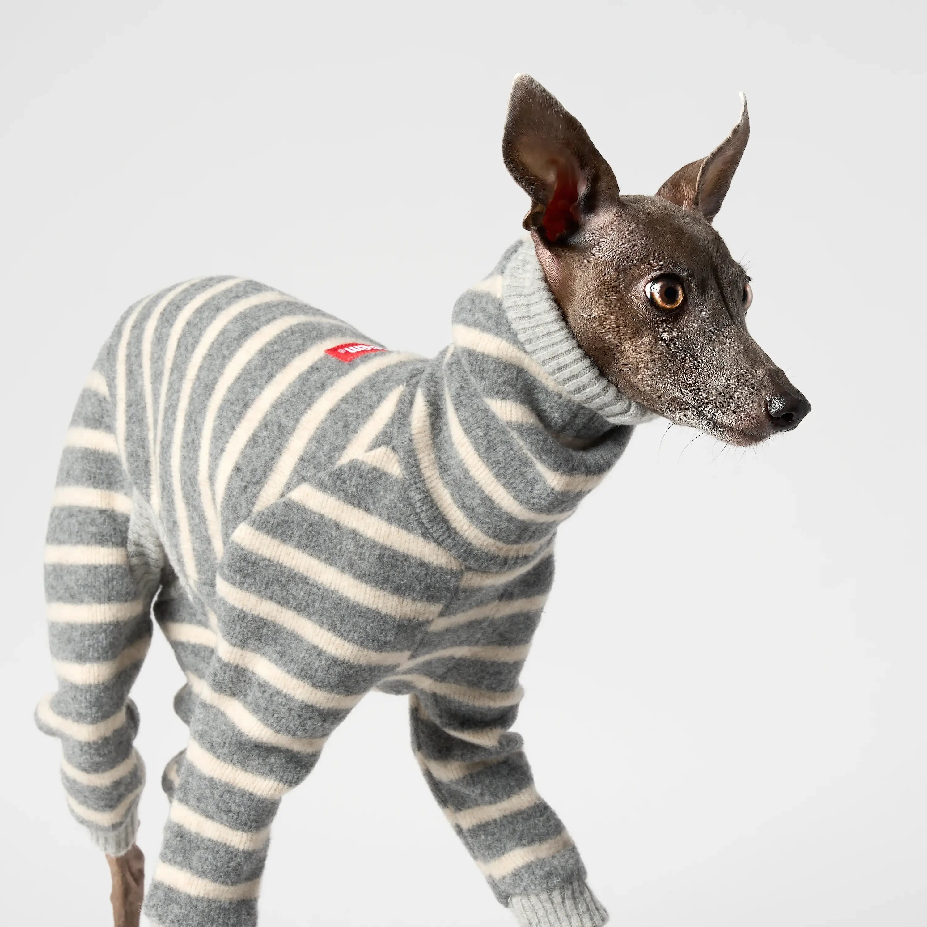 WOOLY - BALACLSUIT