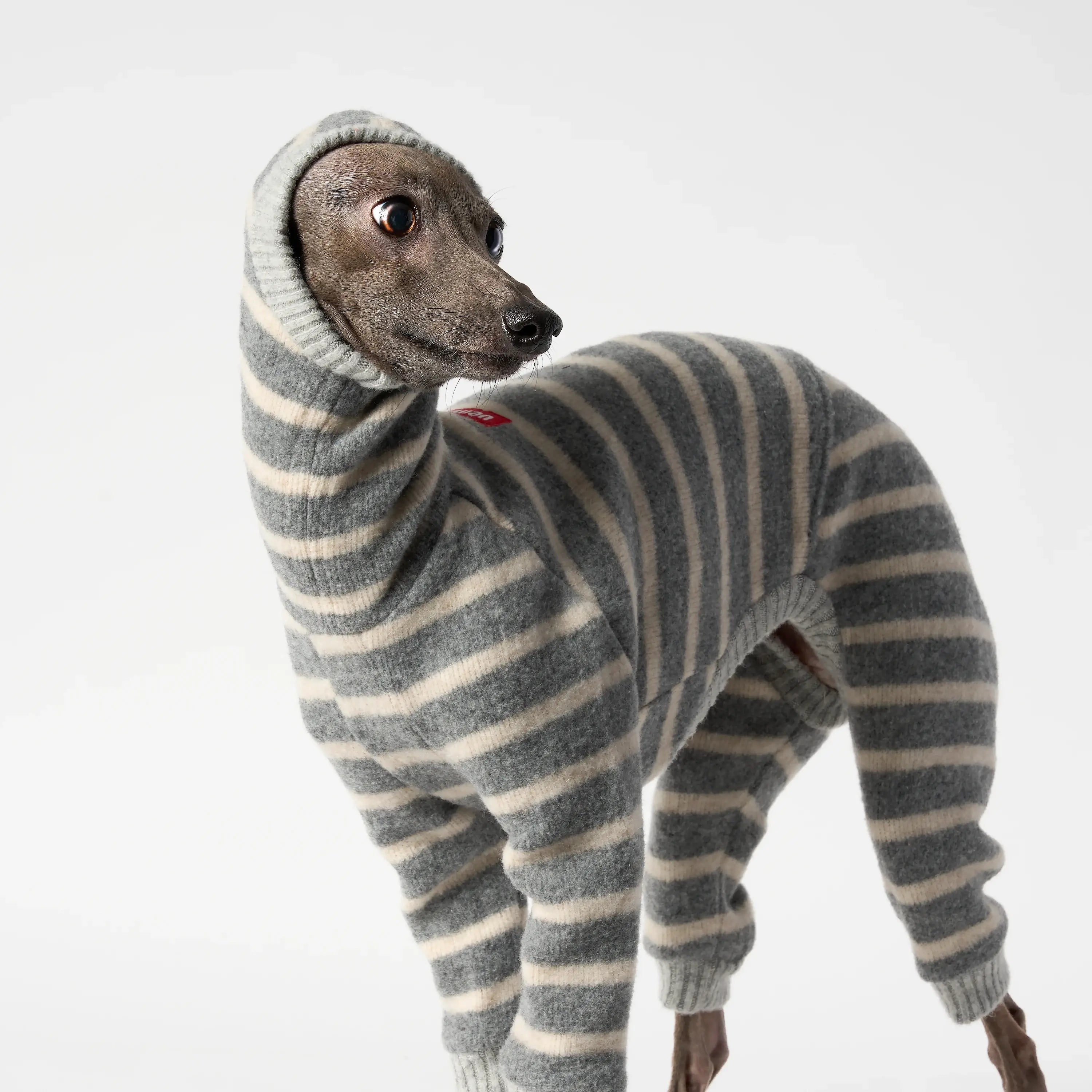 WOOLY - BALACLSUIT