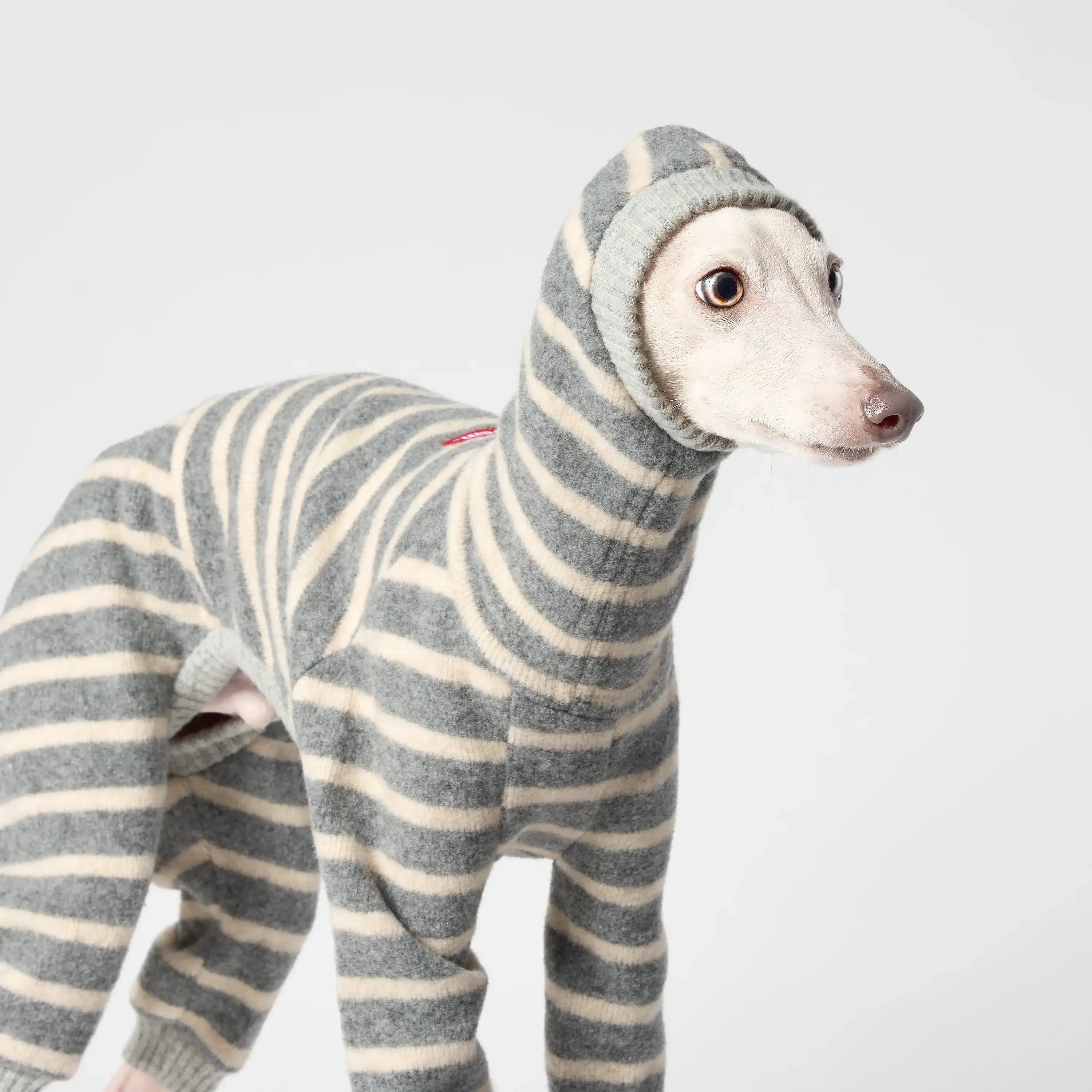 WOOLY - BALACLSUIT
