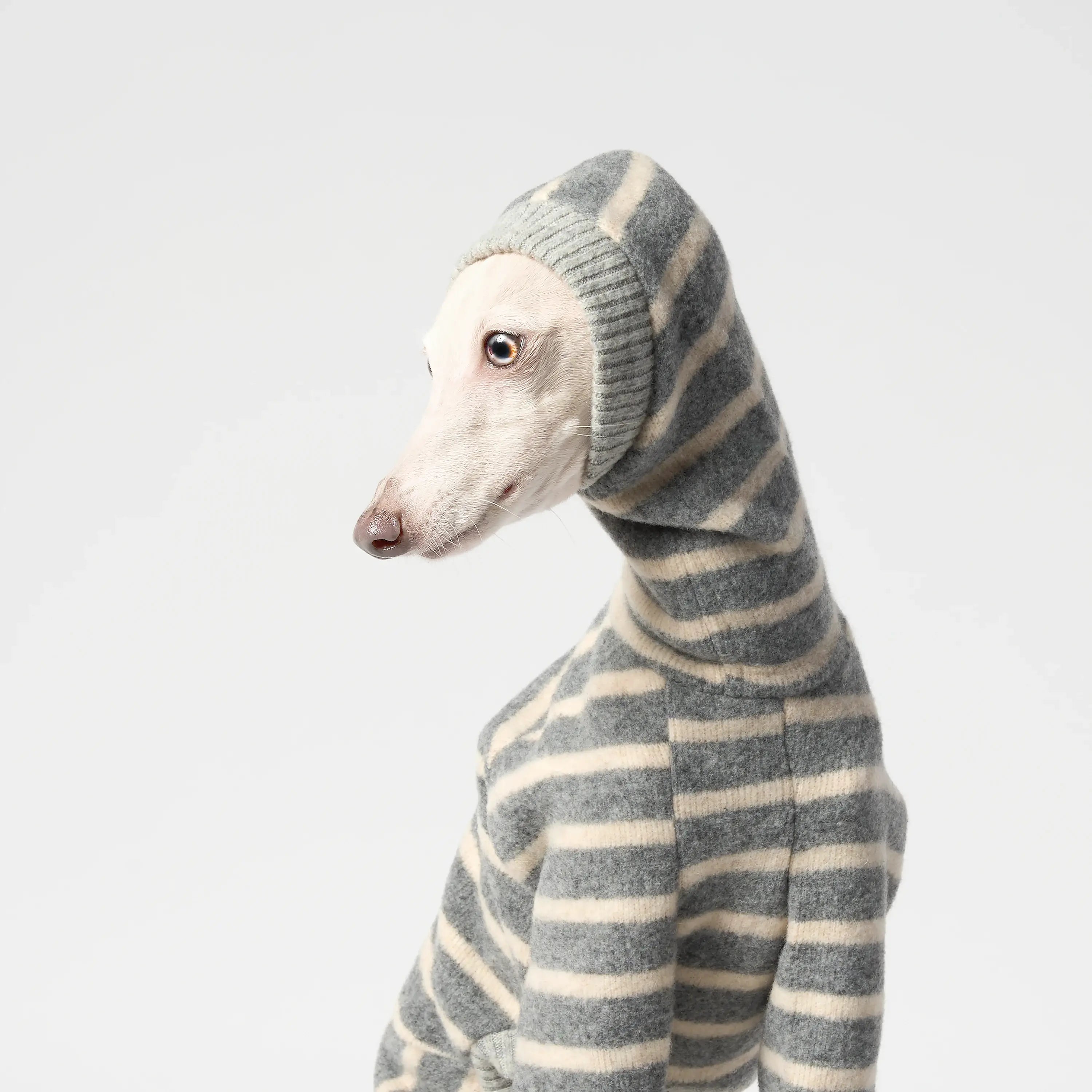 WOOLY - BALACLSUIT