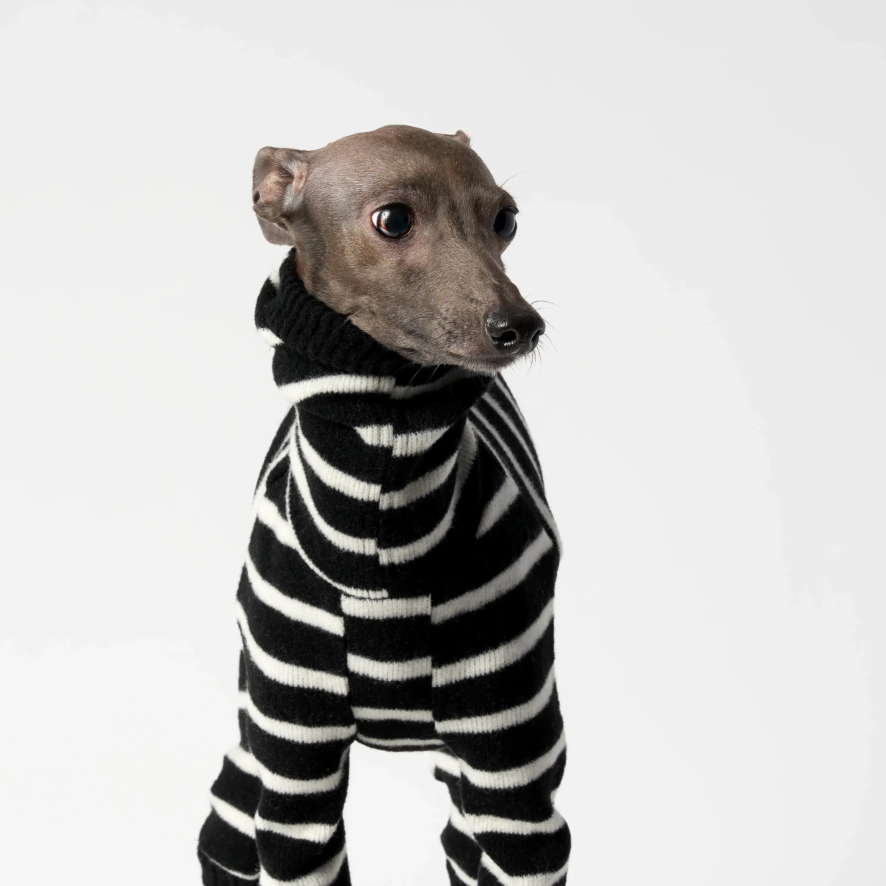 WOOLY - BALACLSUIT