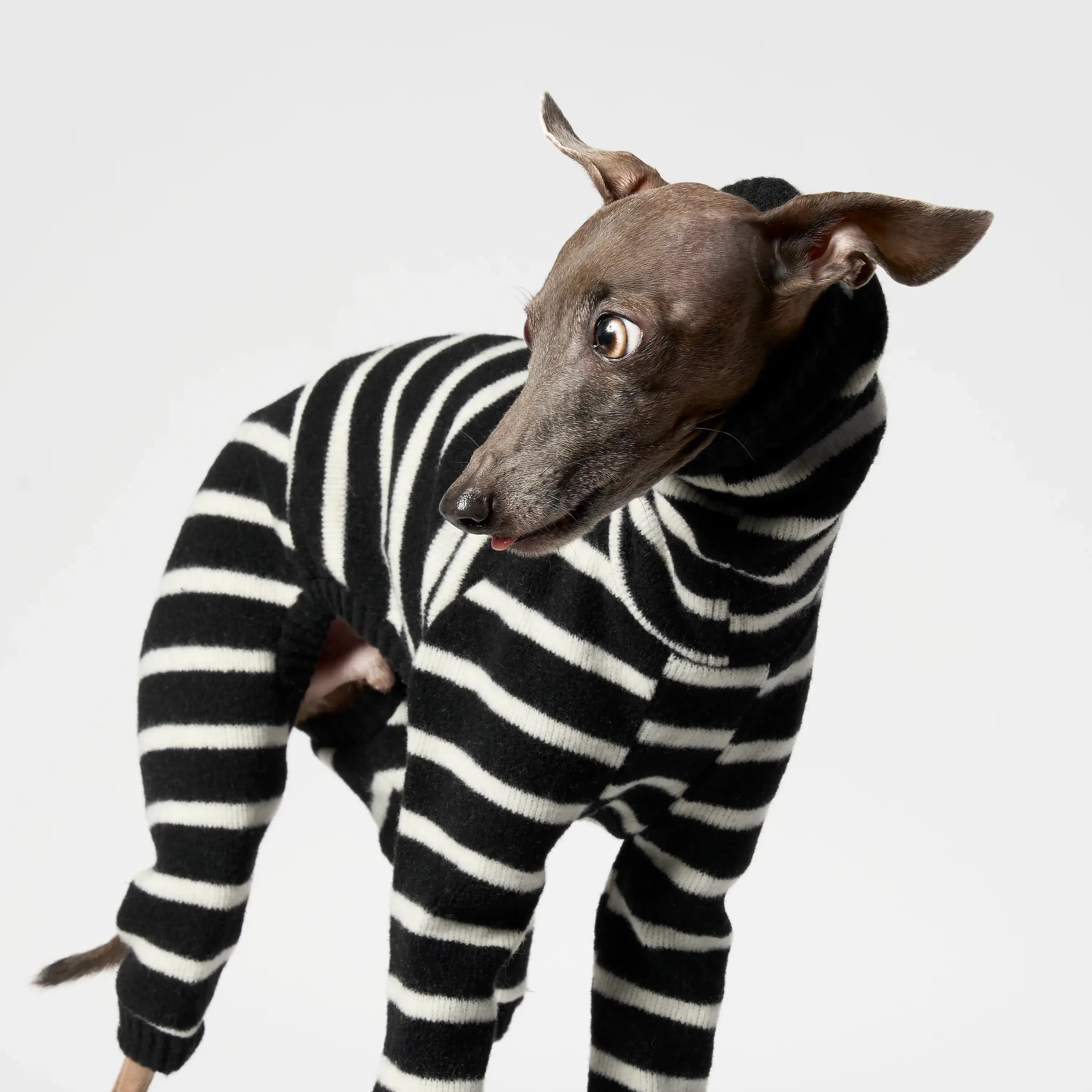 WOOLY - BALACLSUIT