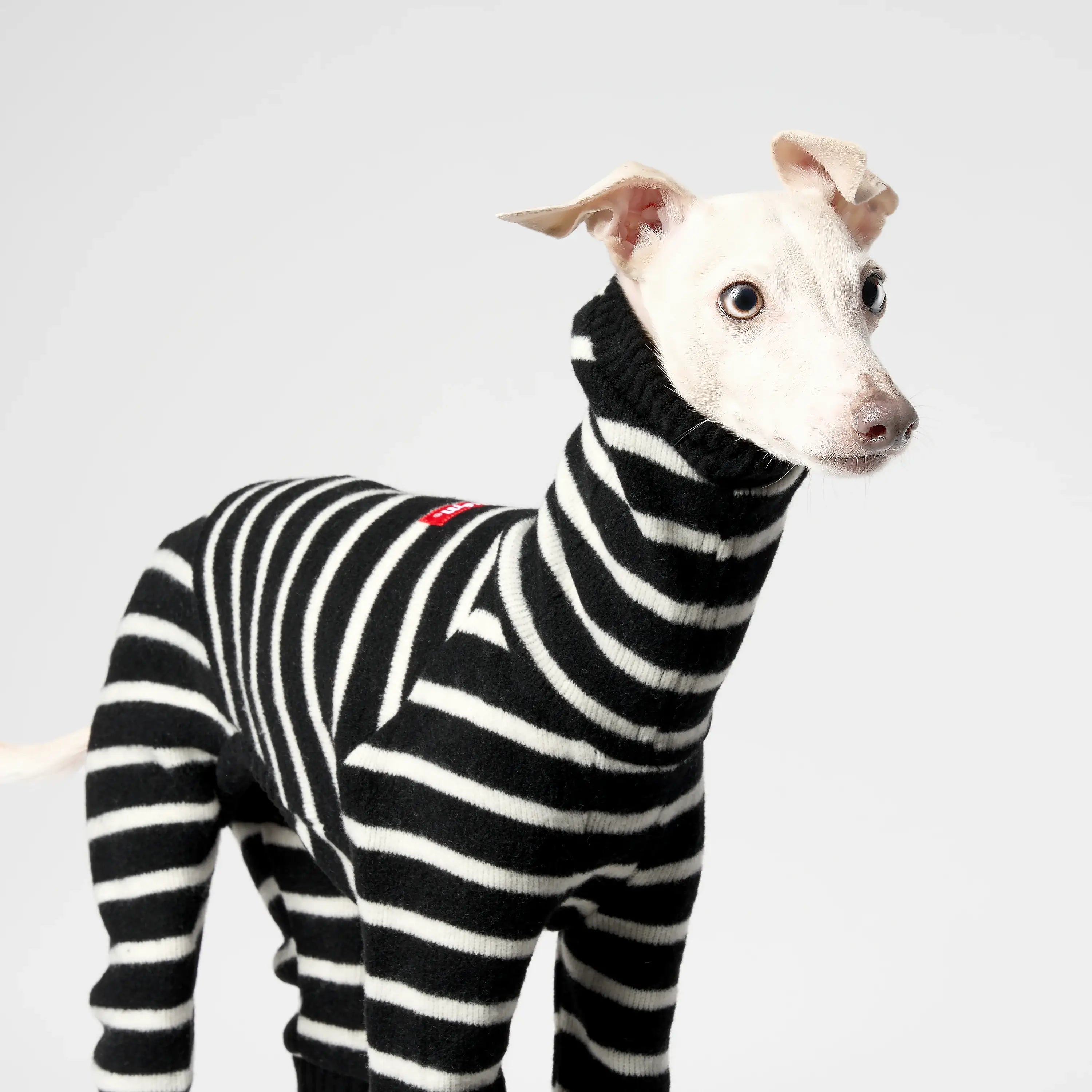 WOOLY - BALACLSUIT