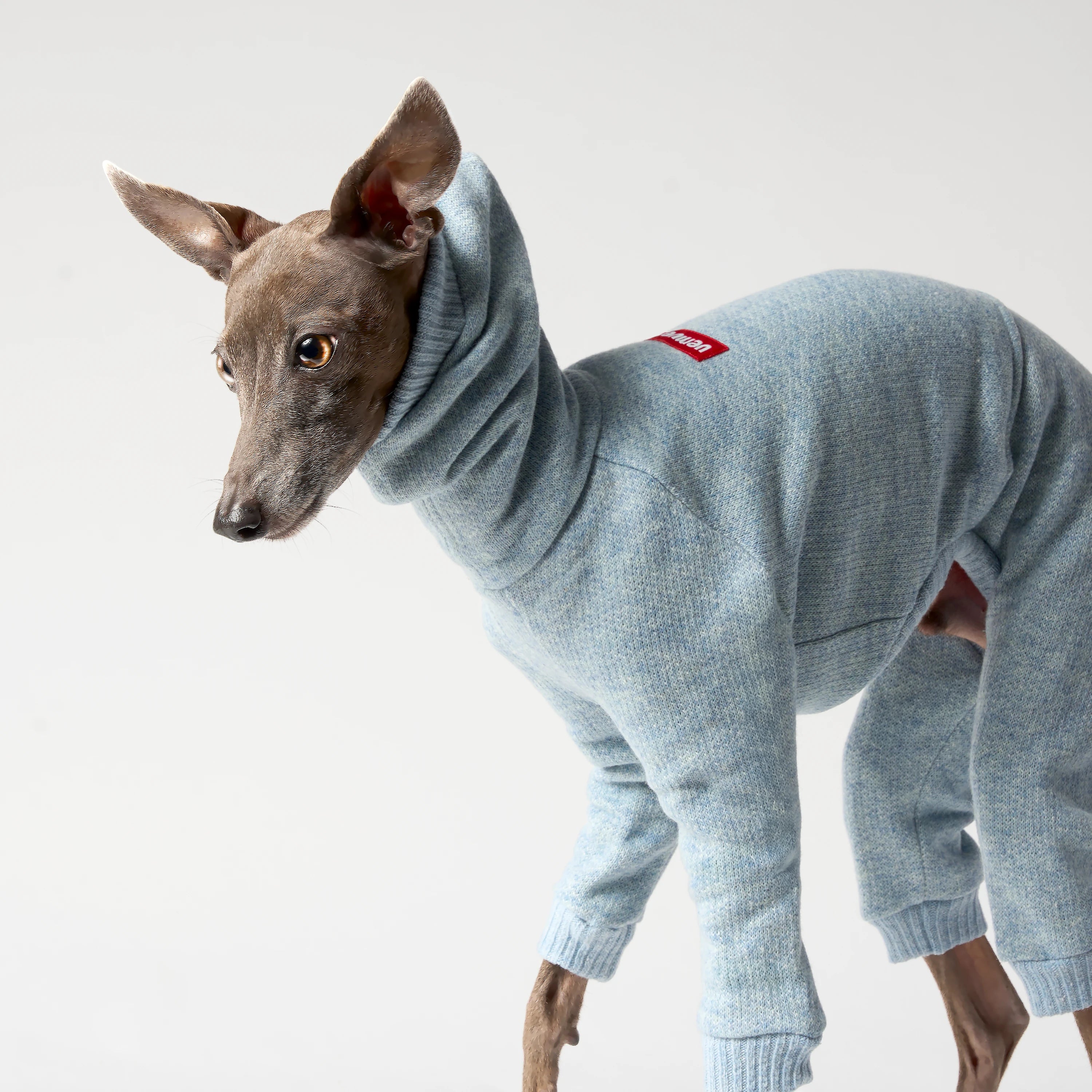 WOOLY - MINGLE SUIT