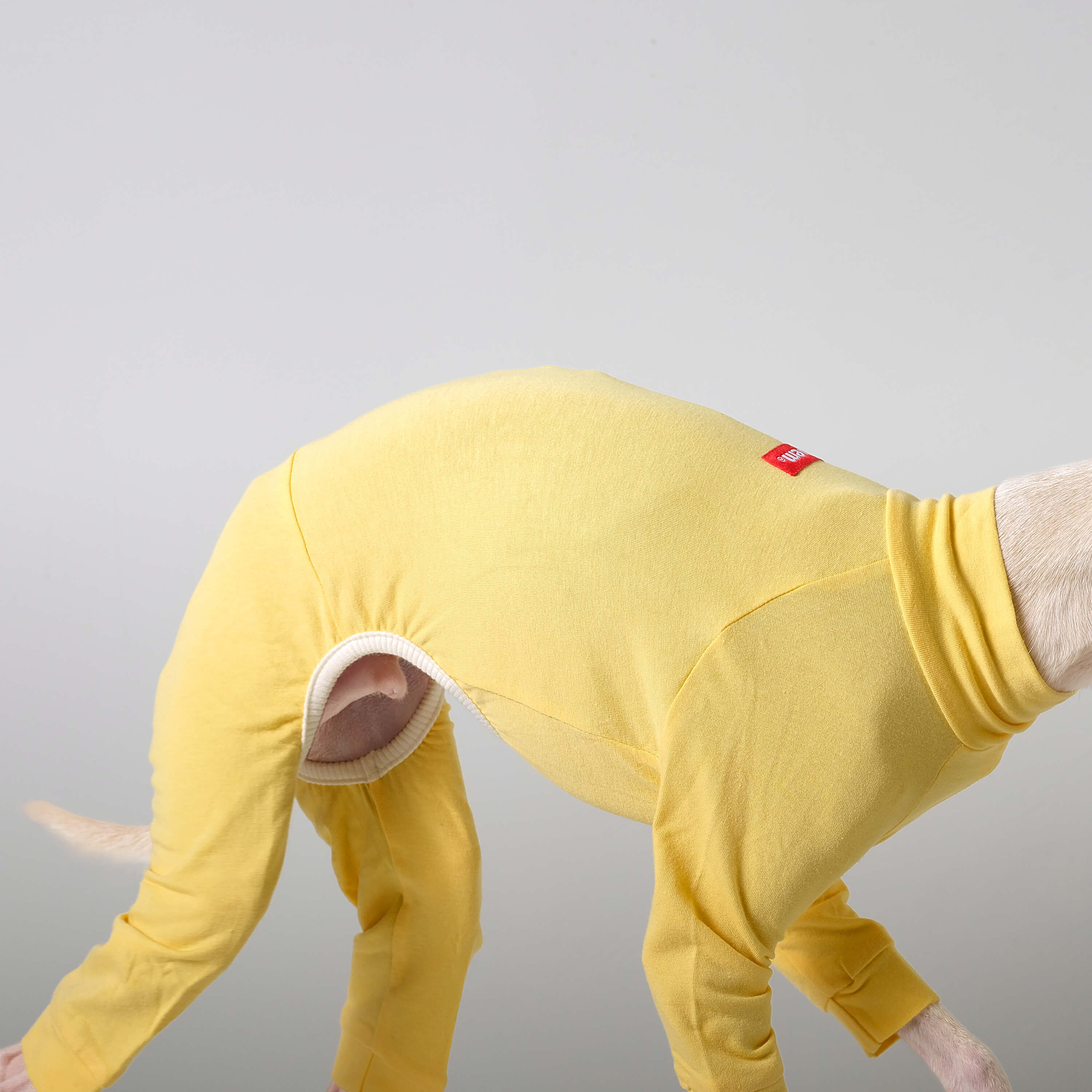 BALLET - LIGHT SLIM