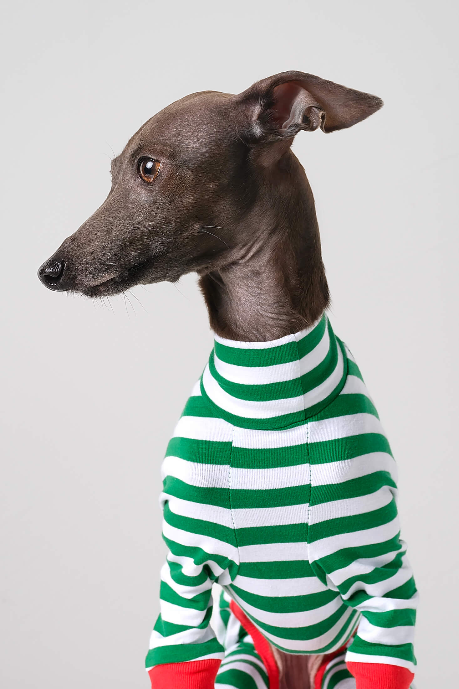 Vemvem® Ballet: SuperHero - popular Black for Italian greyhound