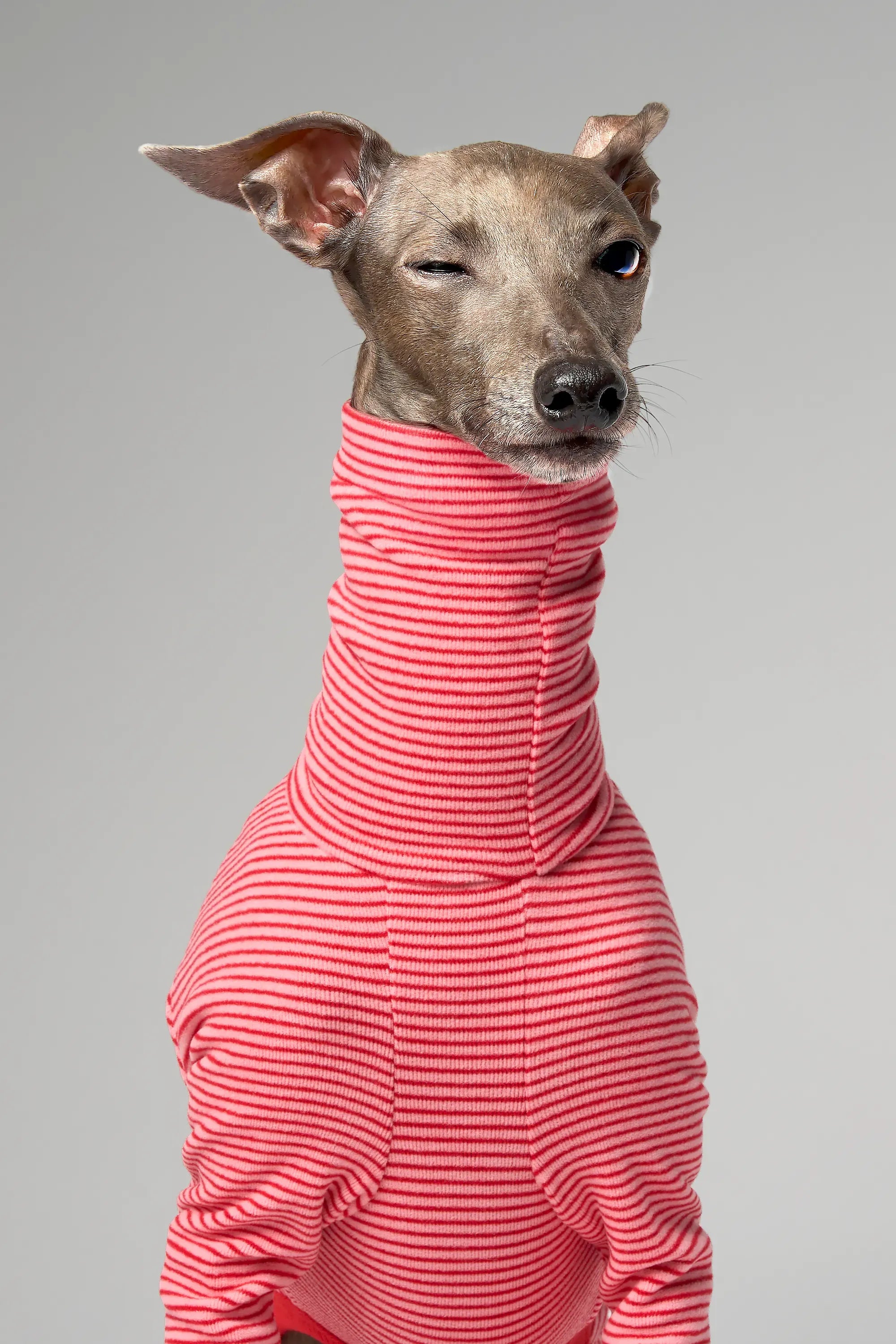 BALLET - SLIMHEAT BRUSHLY