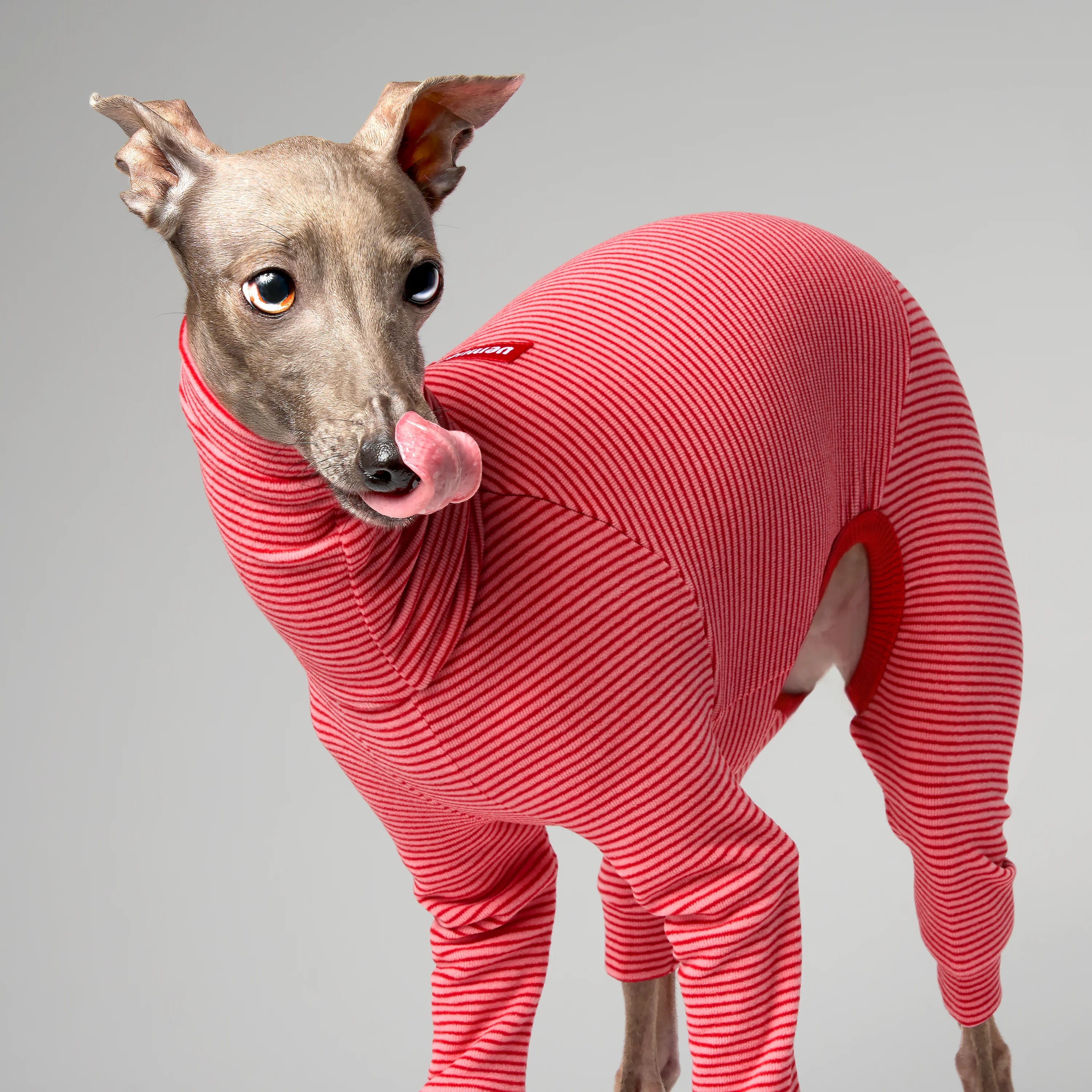 BALLET - SLIMHEAT BRUSHLY