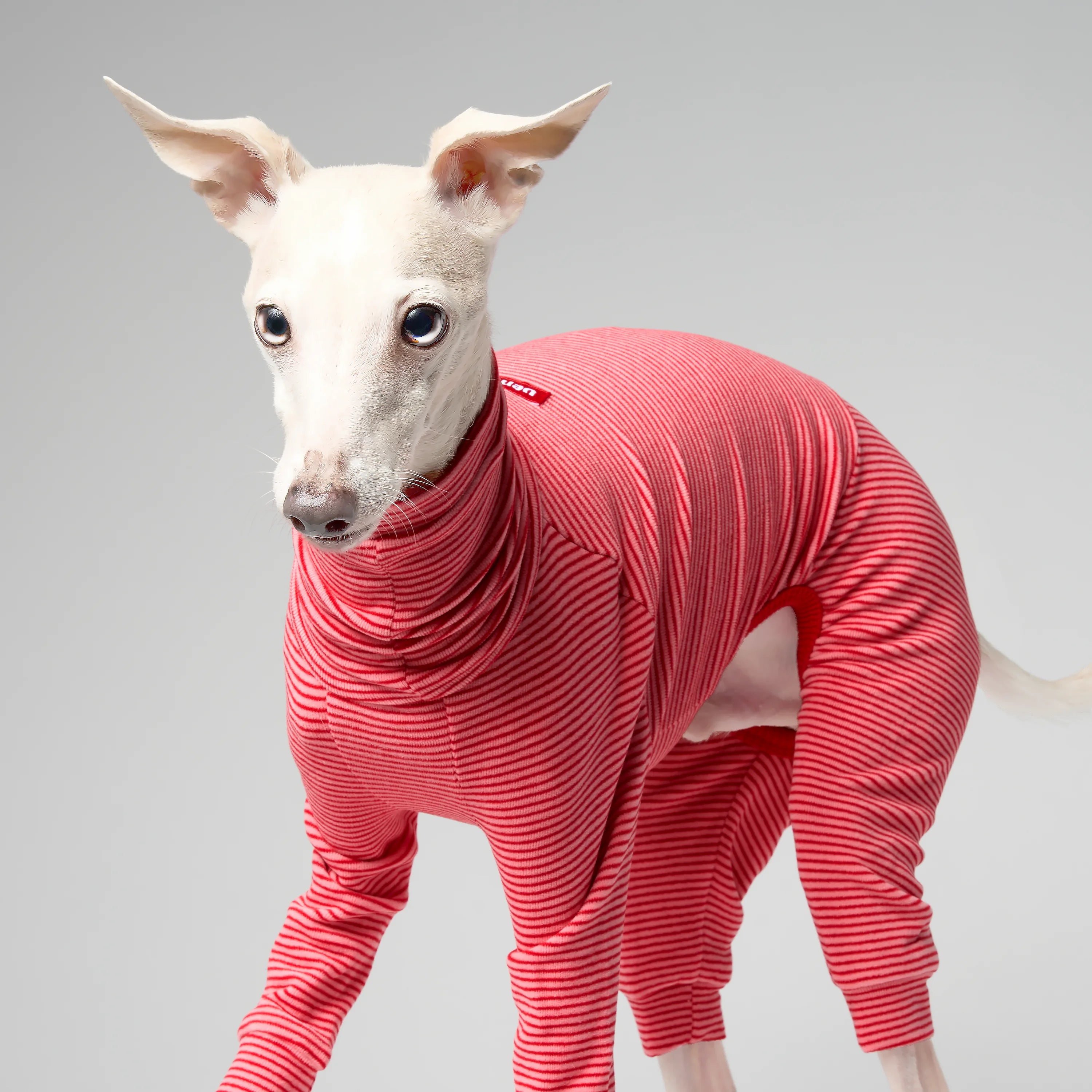 BALLET - SLIMHEAT BRUSHLY