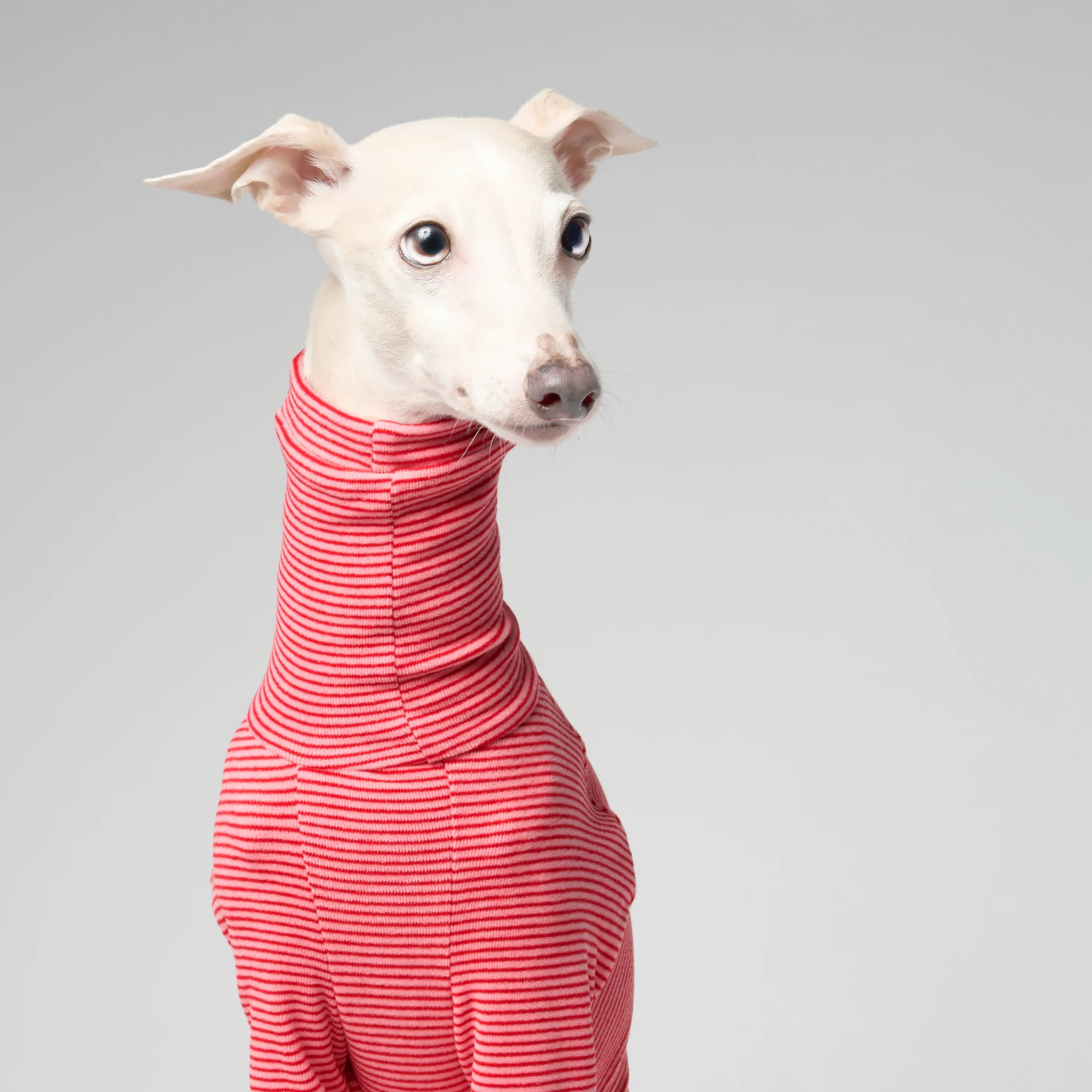 BALLET - SLIMHEAT BRUSHLY