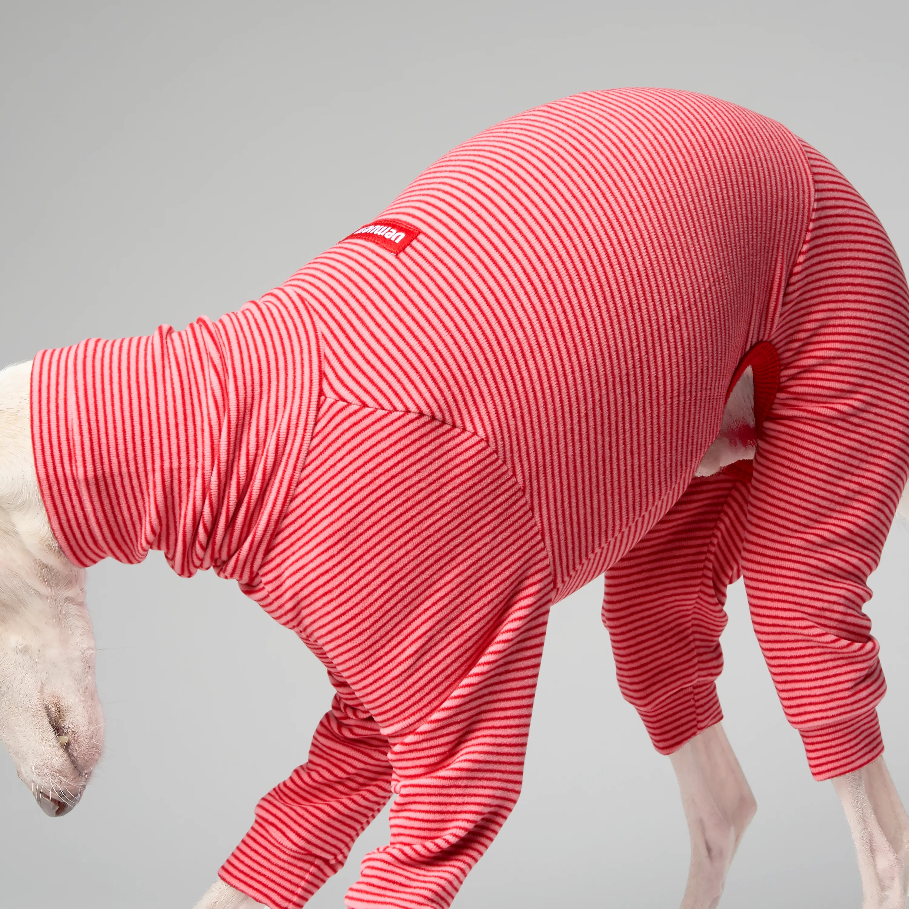 BALLET - SLIMHEAT BRUSHLY