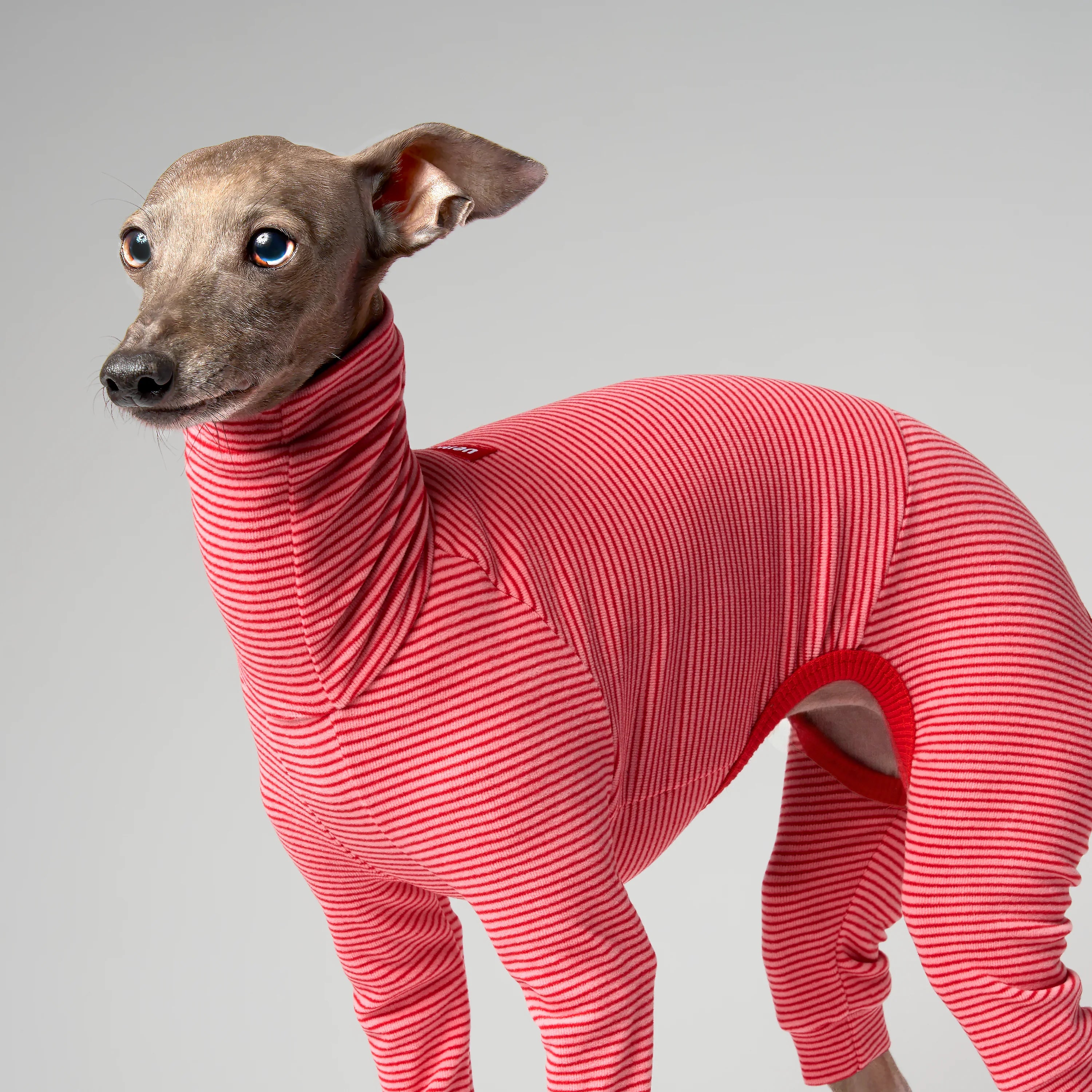 BALLET - SLIMHEAT BRUSHLY