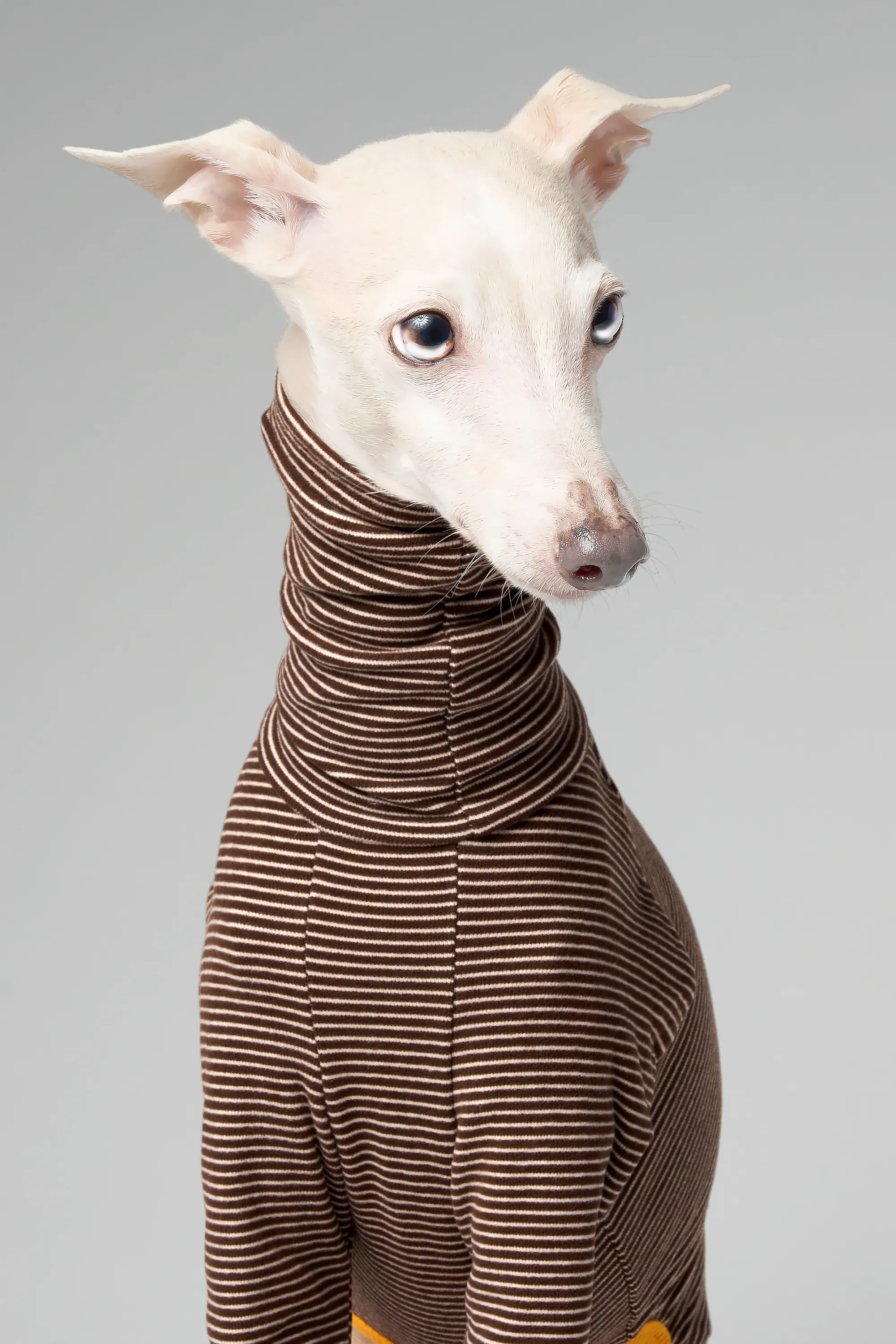 BALLET - SLIMHEAT BRUSHLY