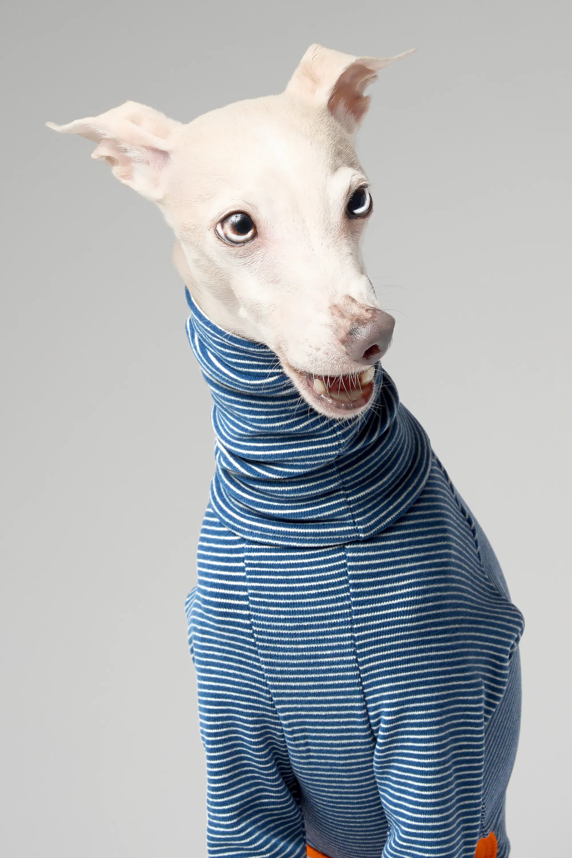 BALLET - SLIMHEAT BRUSHLY