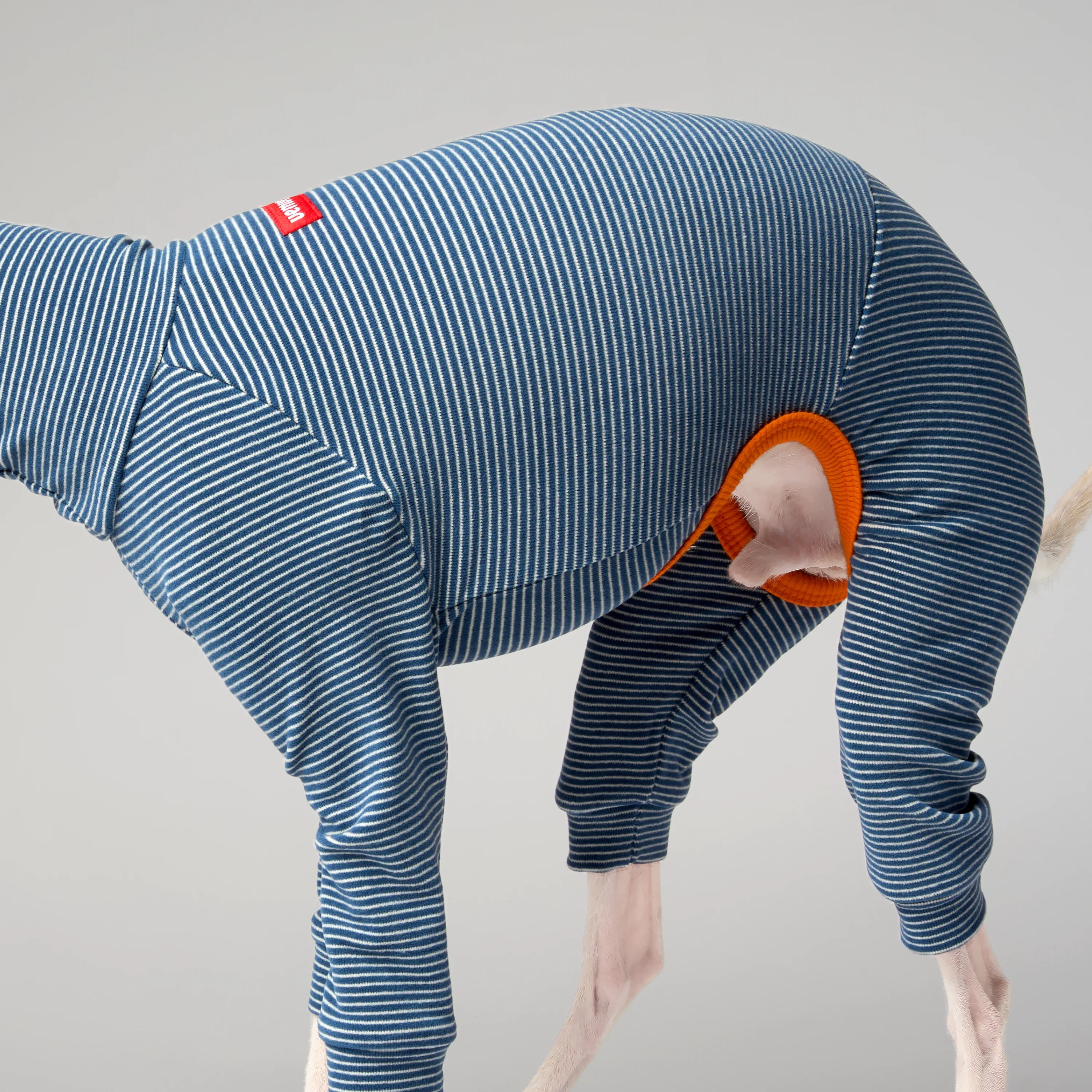 BALLET - SLIMHEAT BRUSHLY