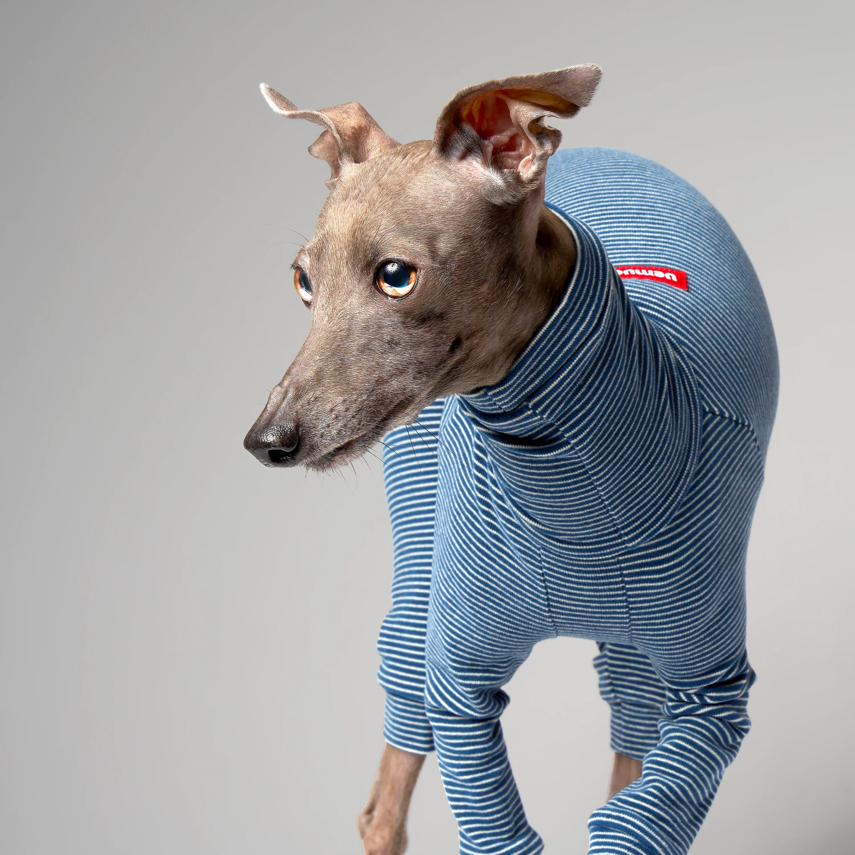 BALLET - SLIMHEAT BRUSHLY