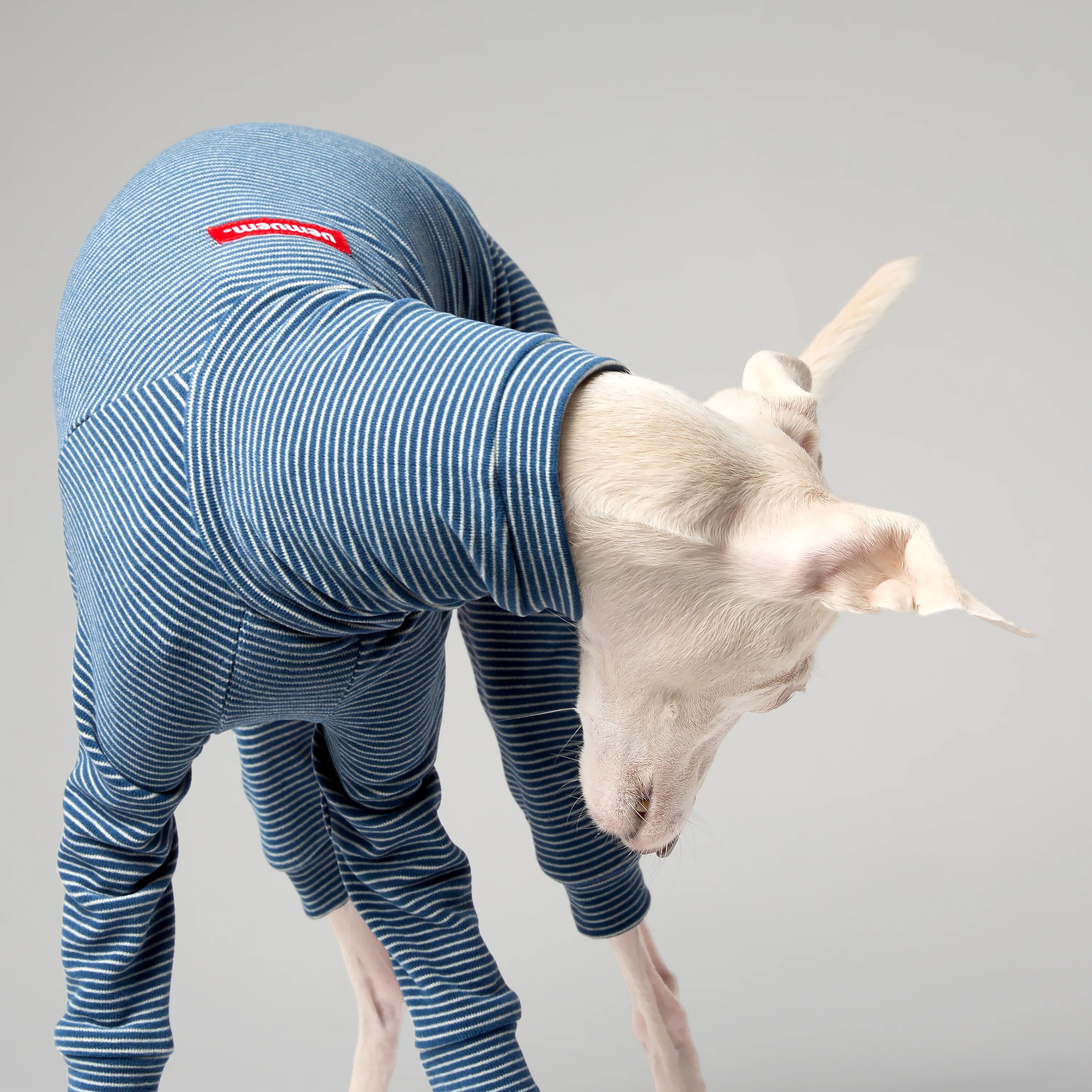 BALLET - SLIMHEAT BRUSHLY