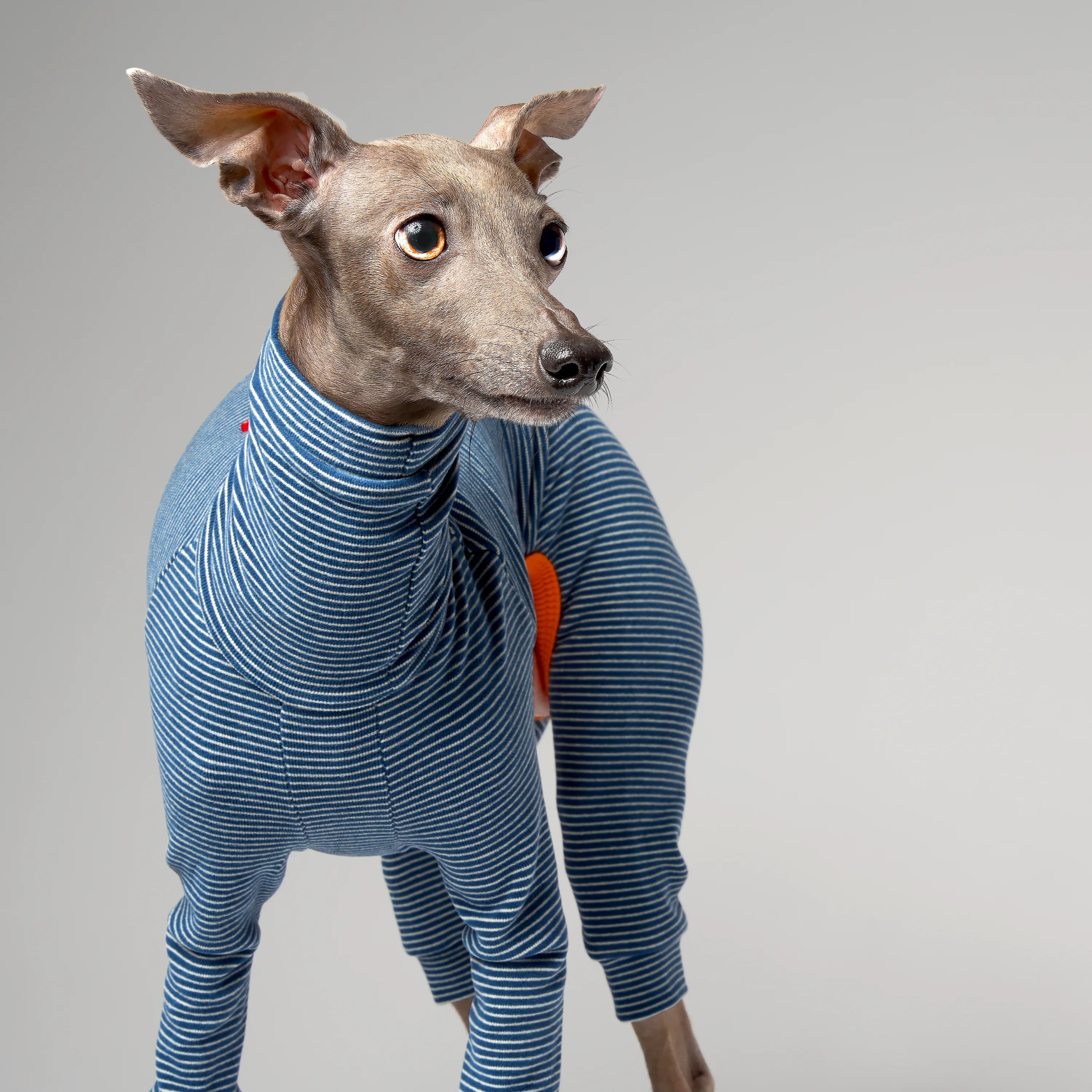 BALLET - SLIMHEAT BRUSHLY