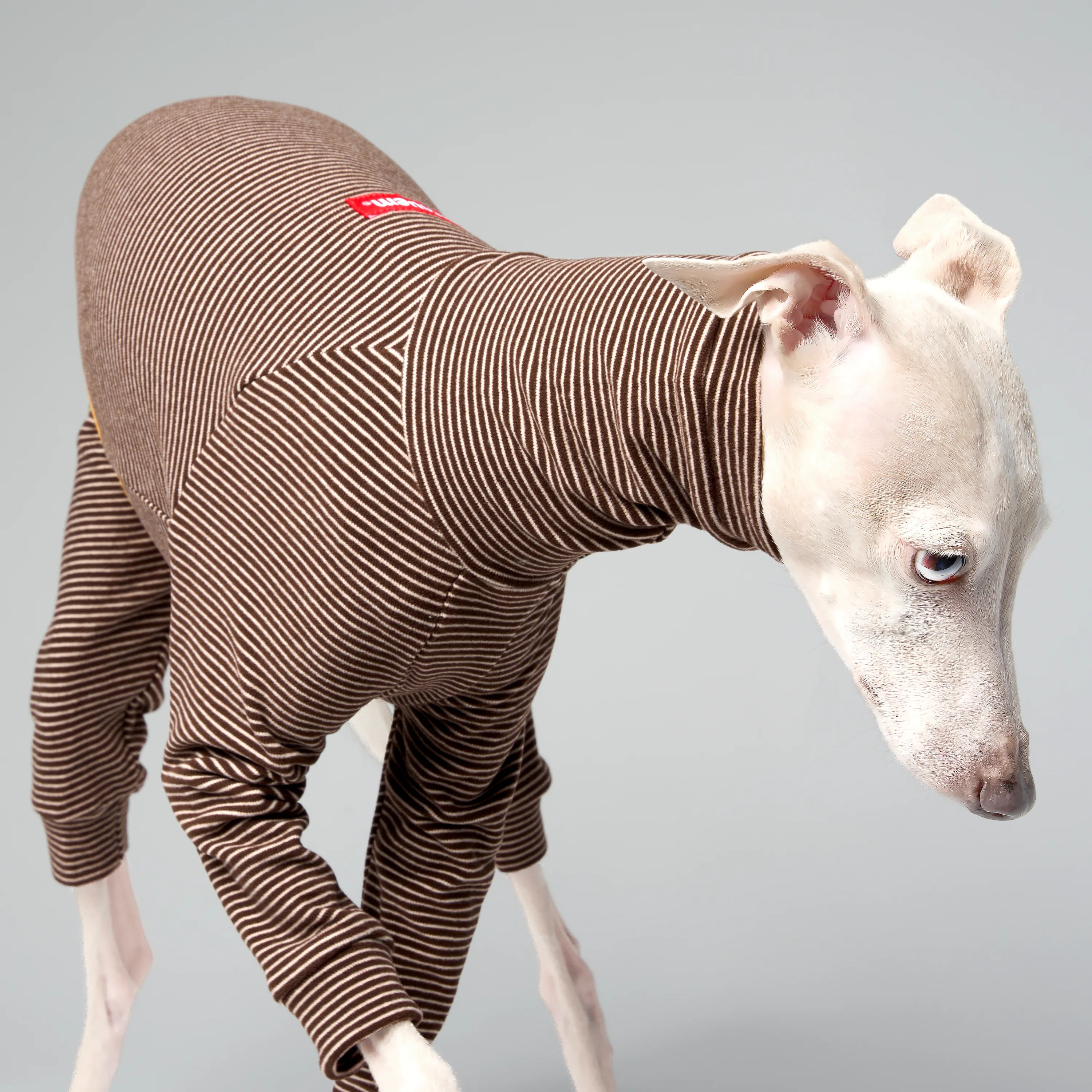 BALLET - SLIMHEAT BRUSHLY