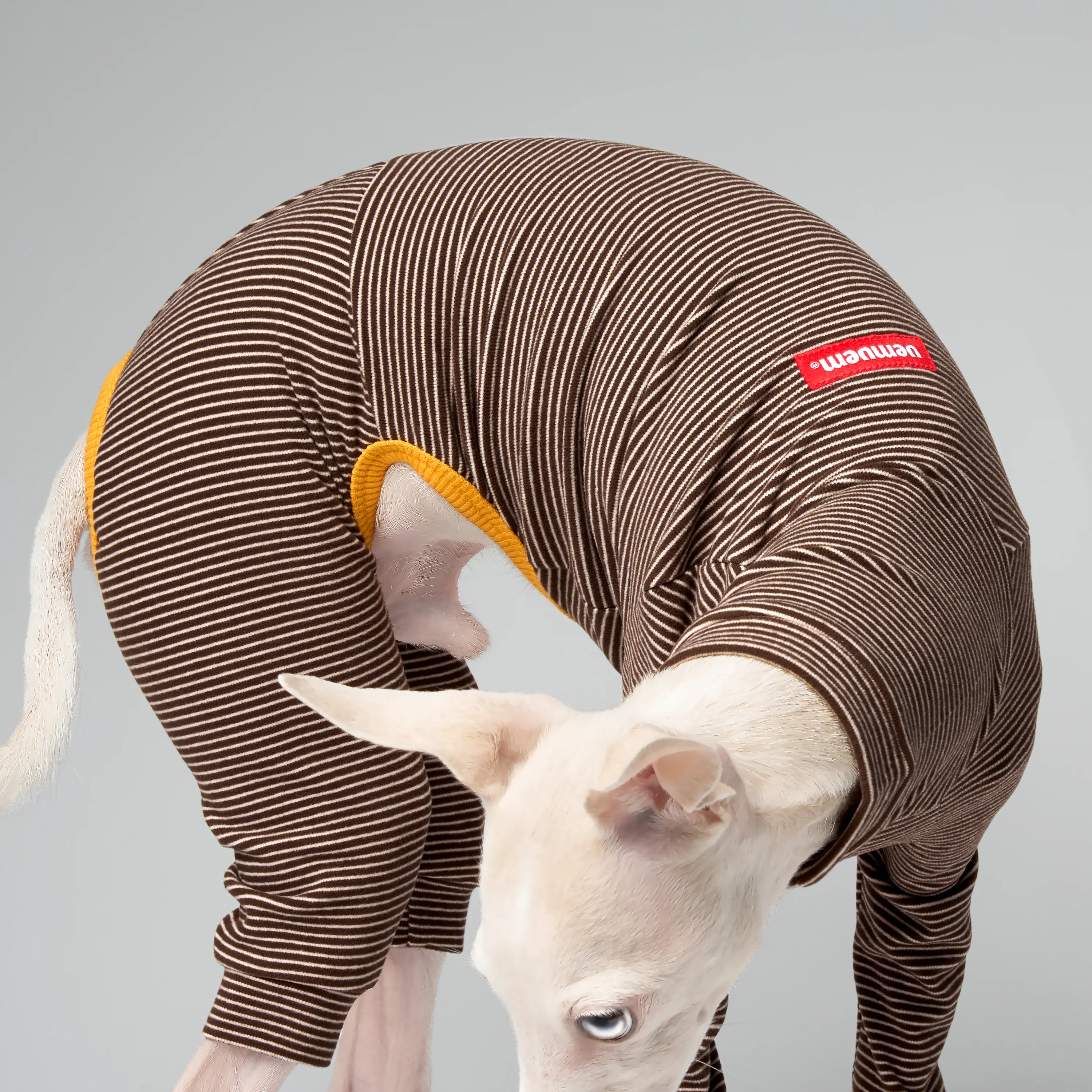 BALLET - SLIMHEAT BRUSHLY