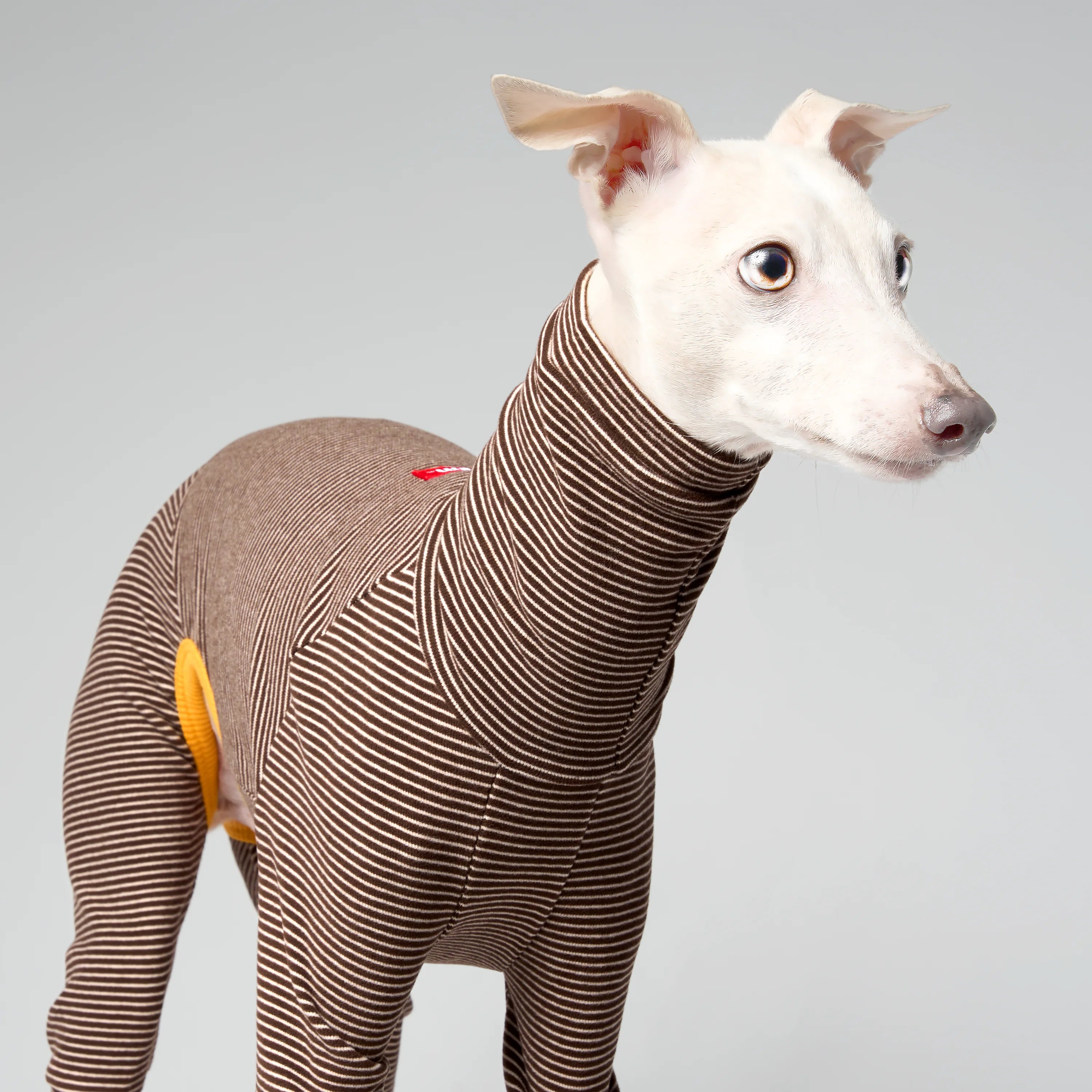 BALLET - SLIMHEAT BRUSHLY