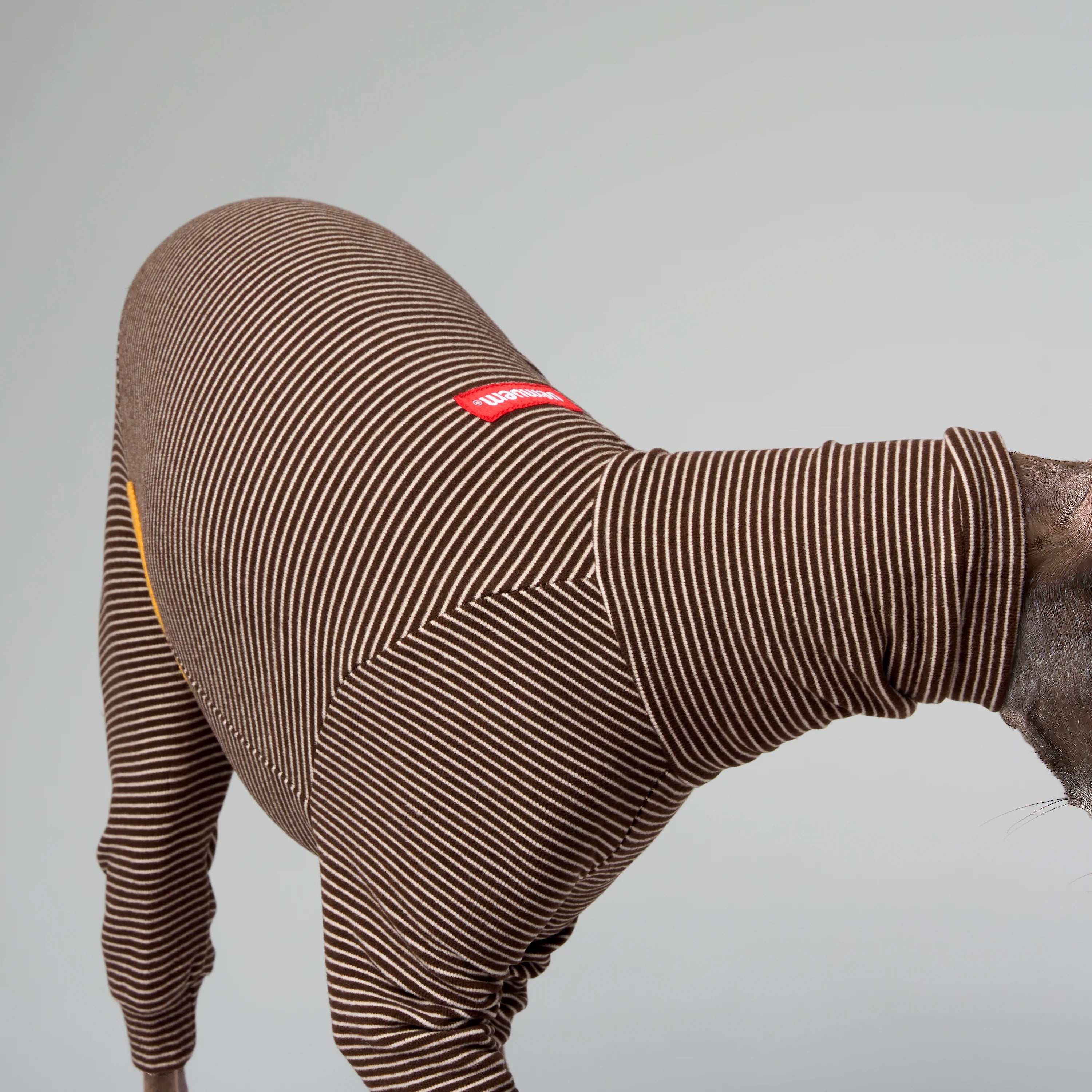 BALLET - SLIMHEAT BRUSHLY