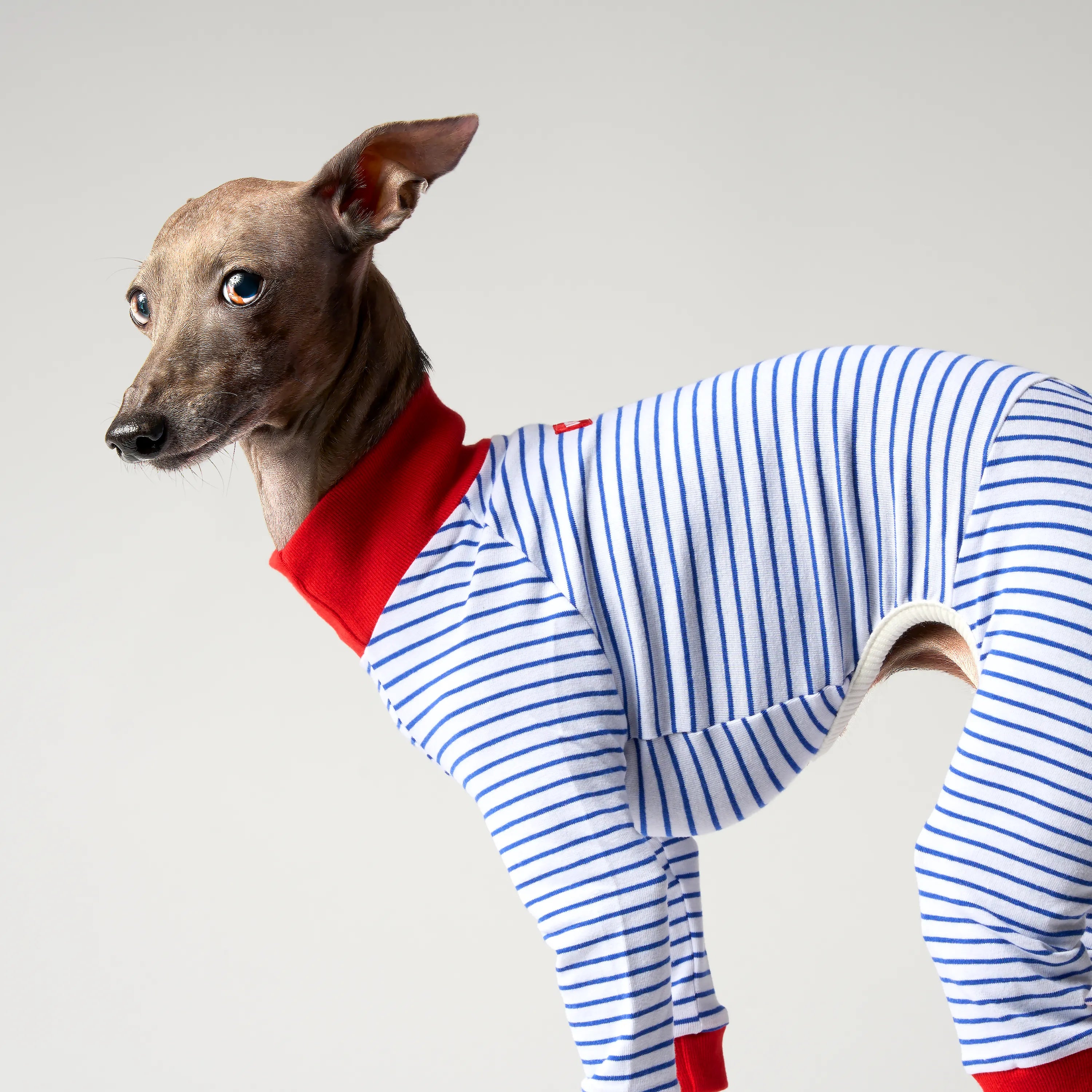 BALLET - SLIM STRIPES