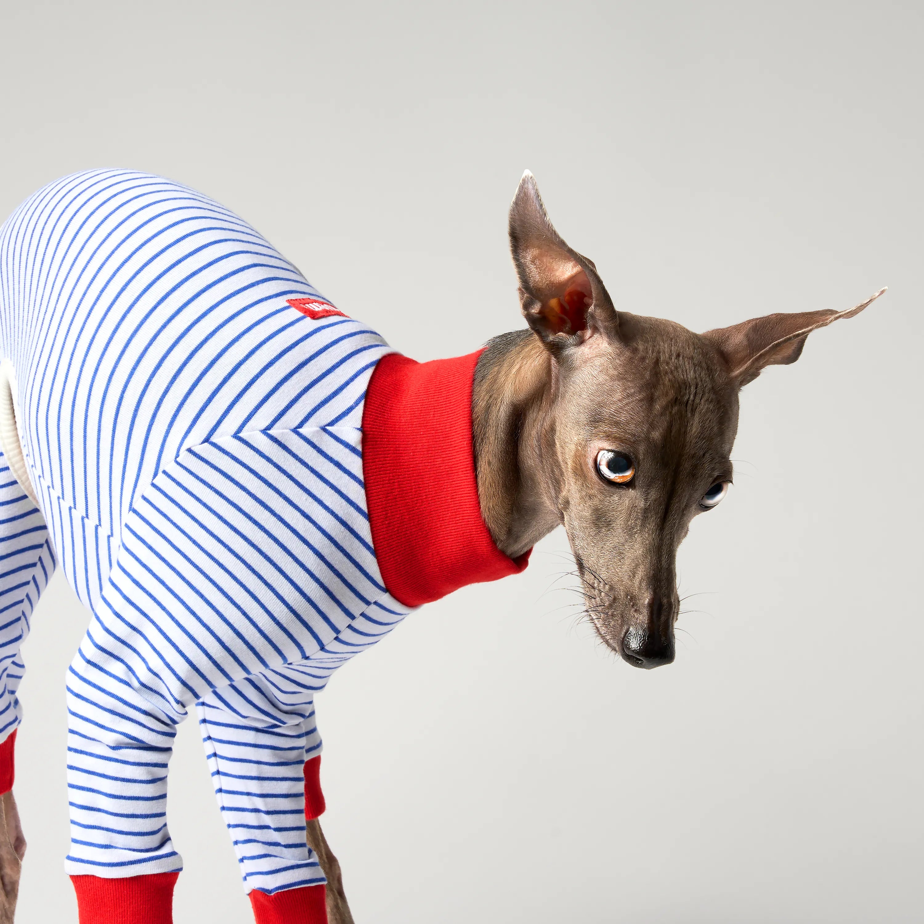BALLET - SLIM STRIPES