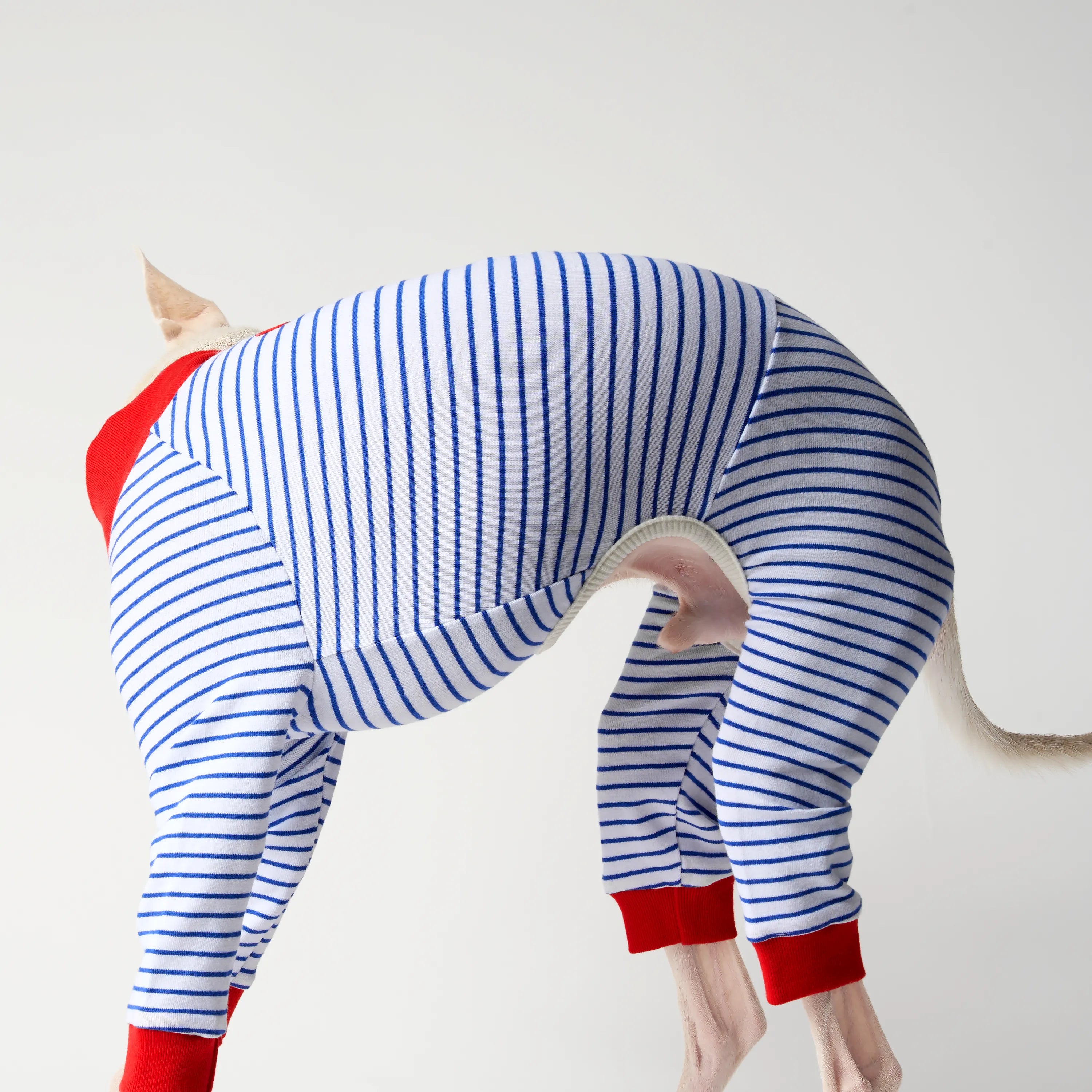 BALLET - SLIM STRIPES