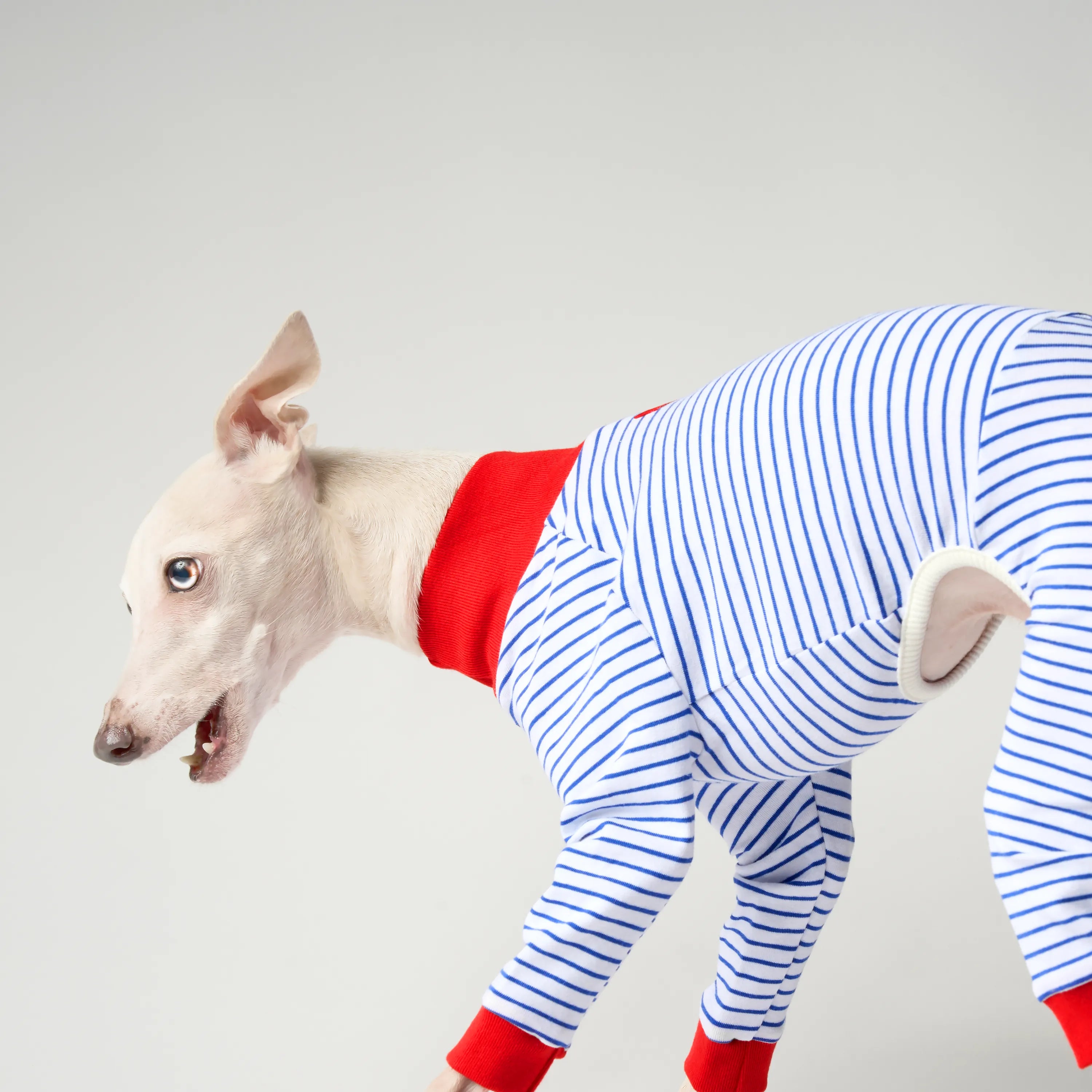 BALLET - SLIM STRIPES