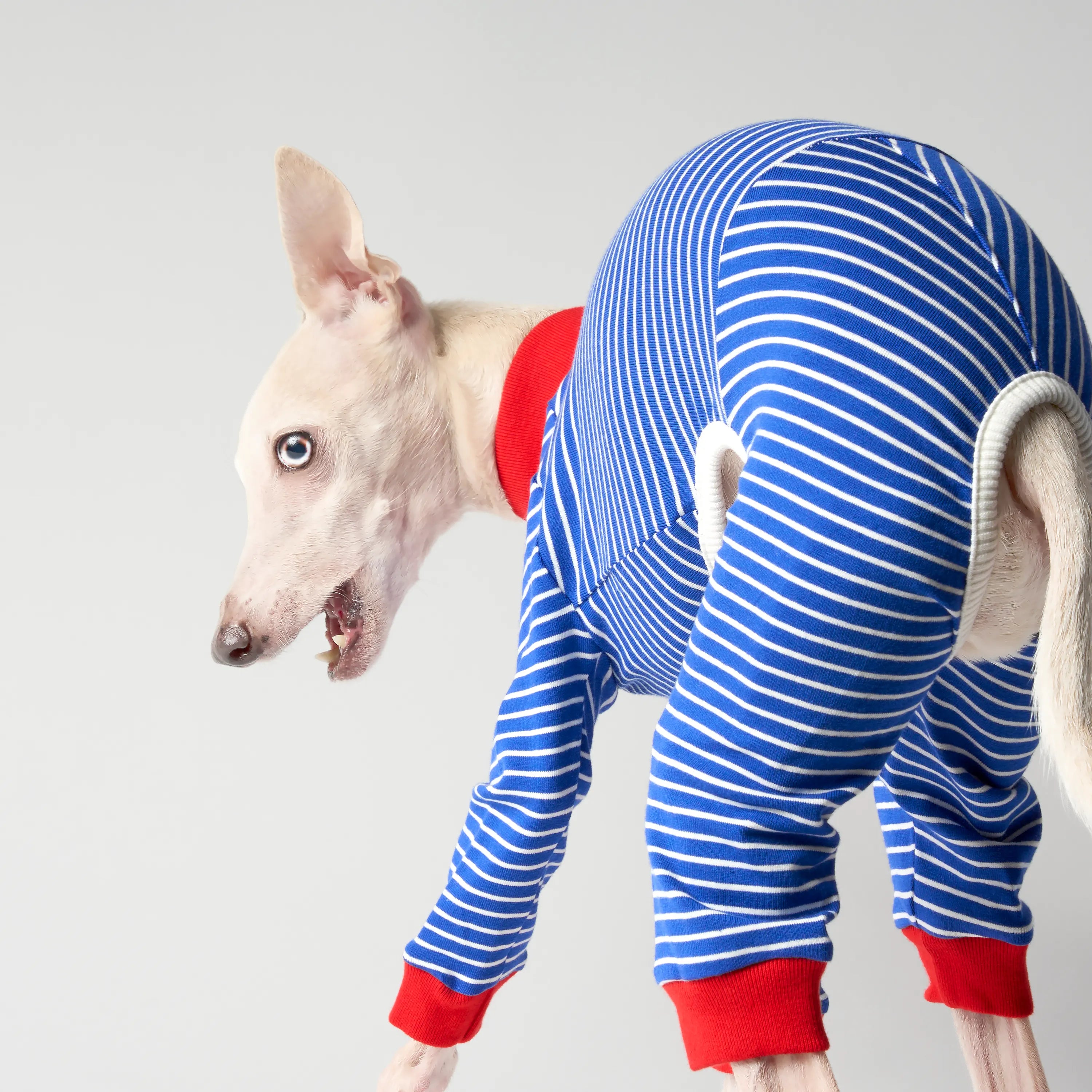 BALLET - SLIM STRIPES
