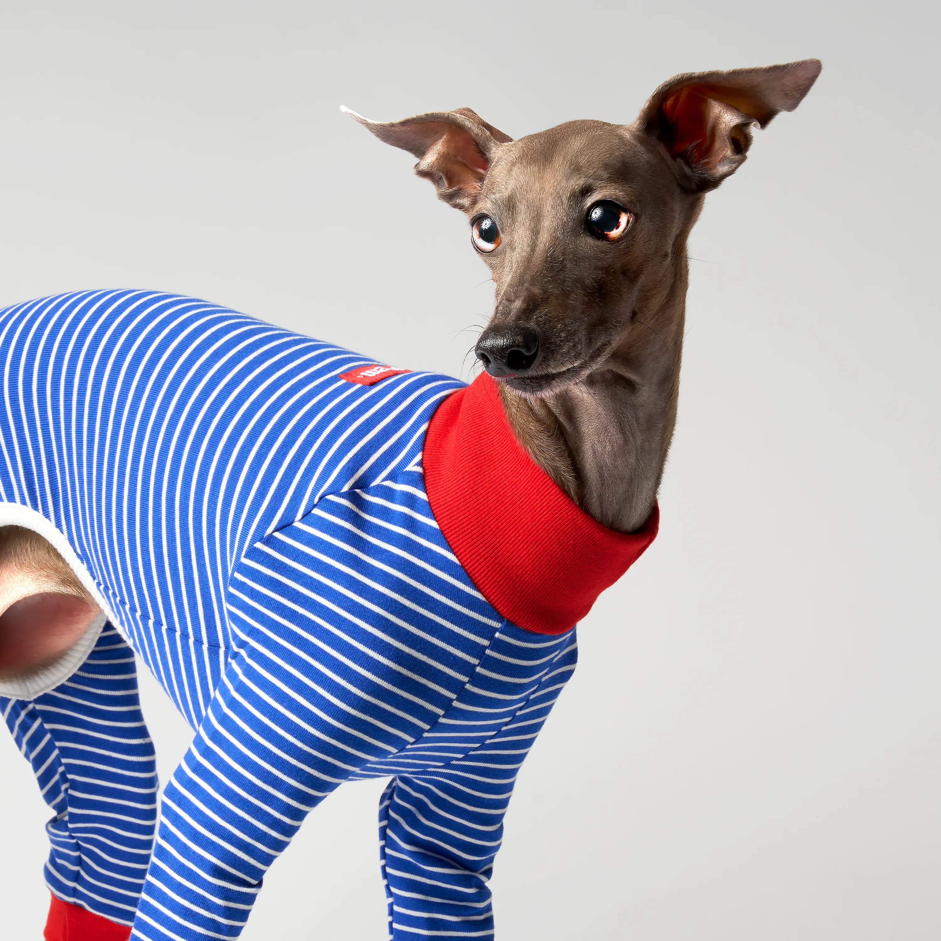 BALLET - SLIM STRIPES