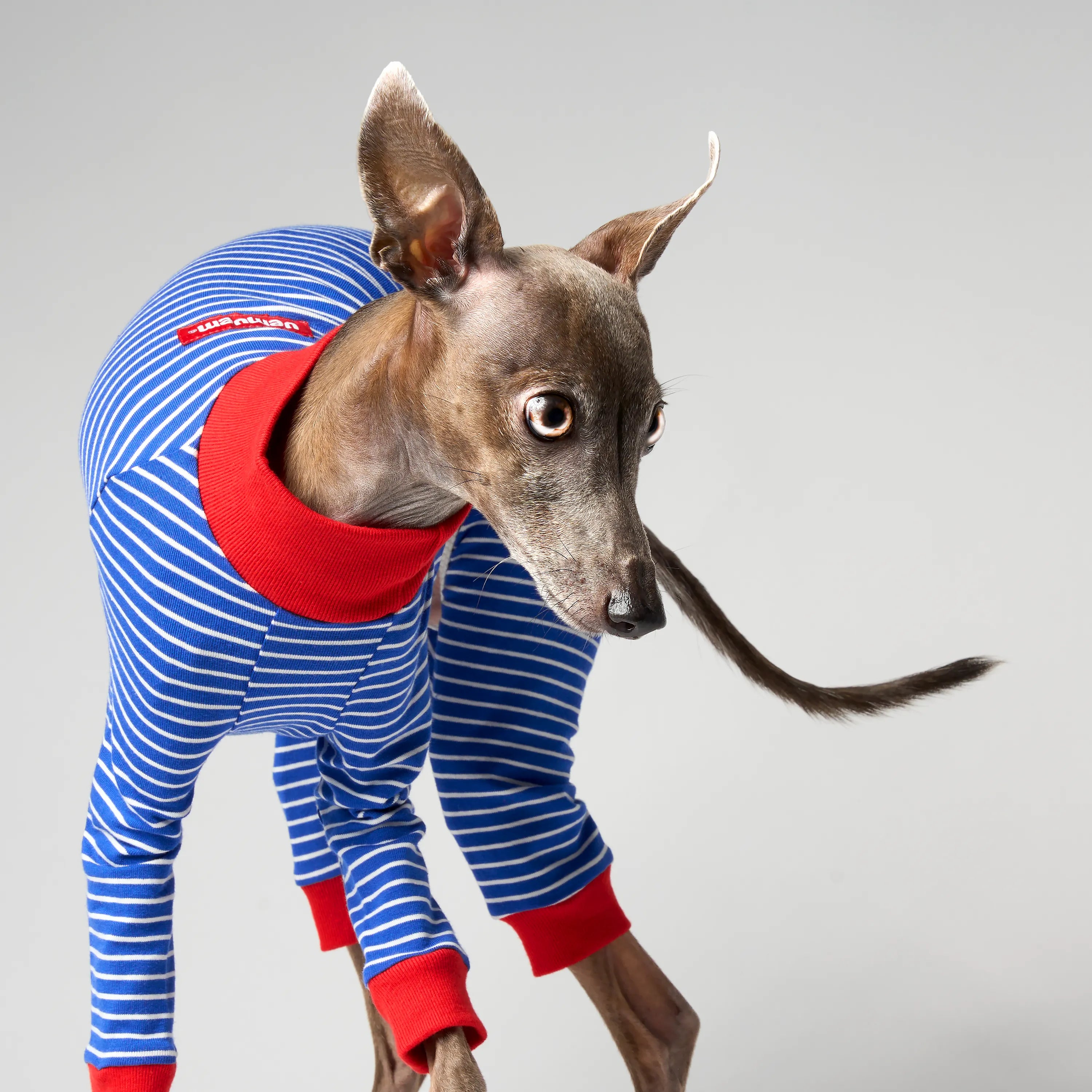 BALLET - SLIM STRIPES