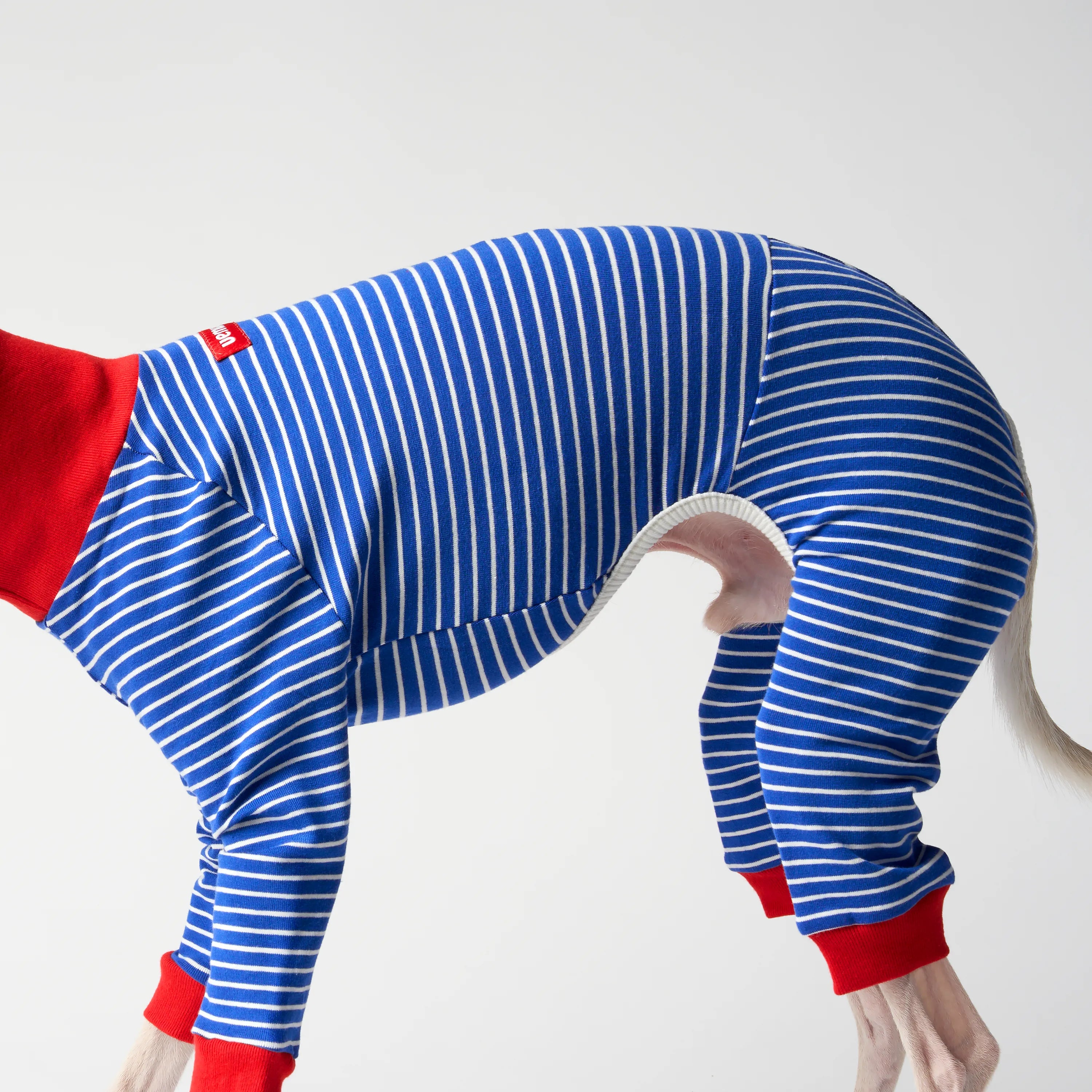 BALLET - SLIM STRIPES
