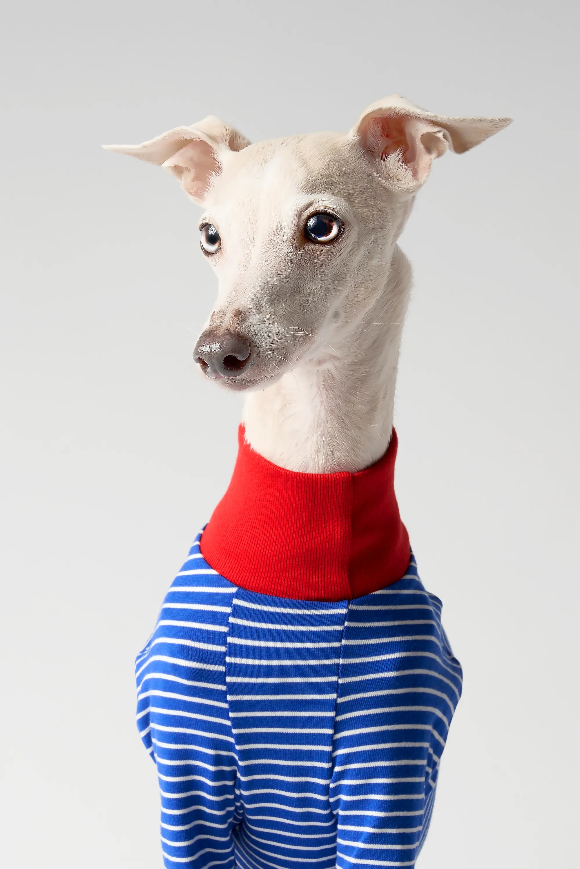 BALLET - SLIM STRIPES